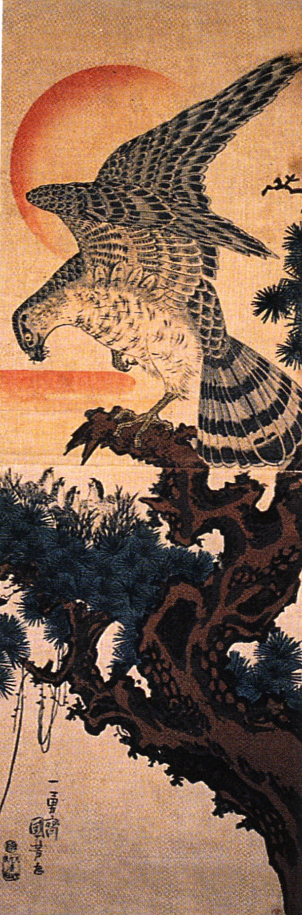 《松鹰旭日图》（Hawk on Pine Tree with Red Sun）｜歌川国芳 Utagawa Kuniyoshi｜江户时代，19世纪