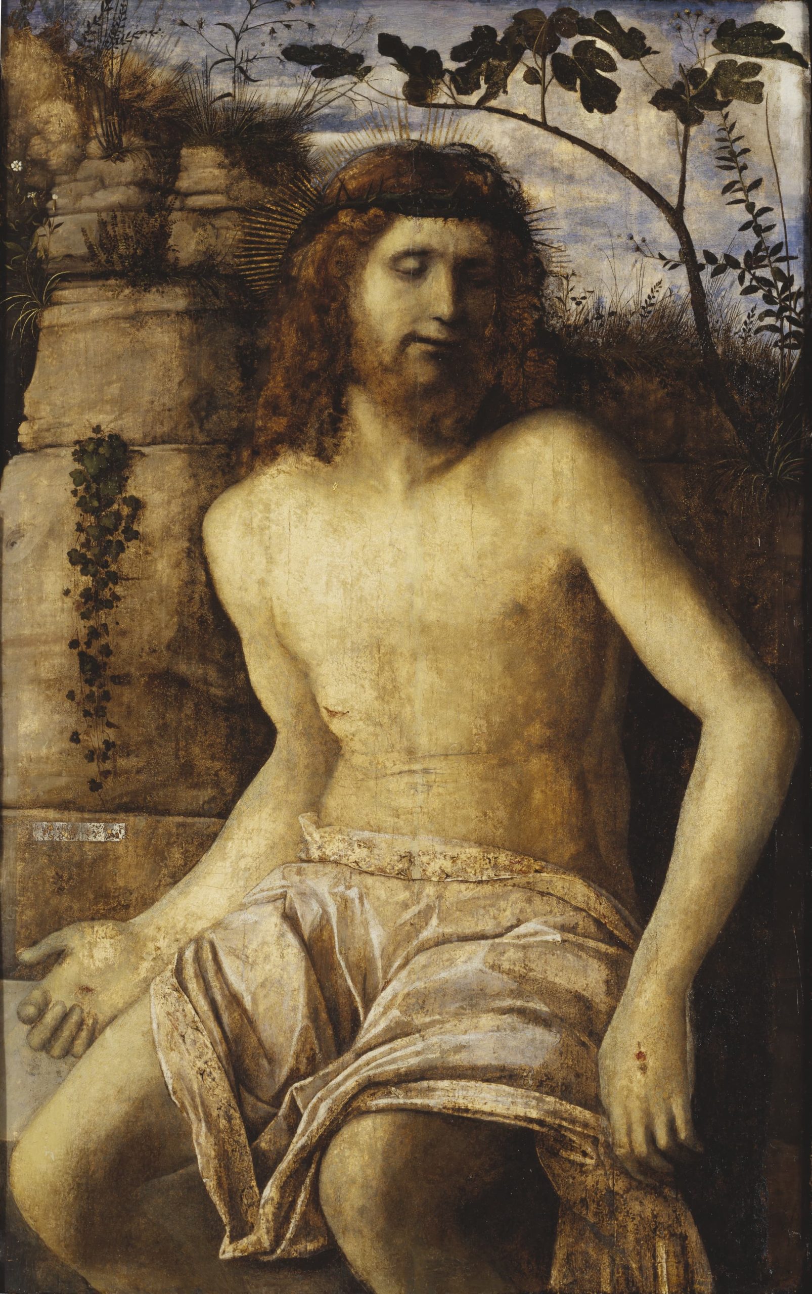 Giovanni Bellini 作品预览 11