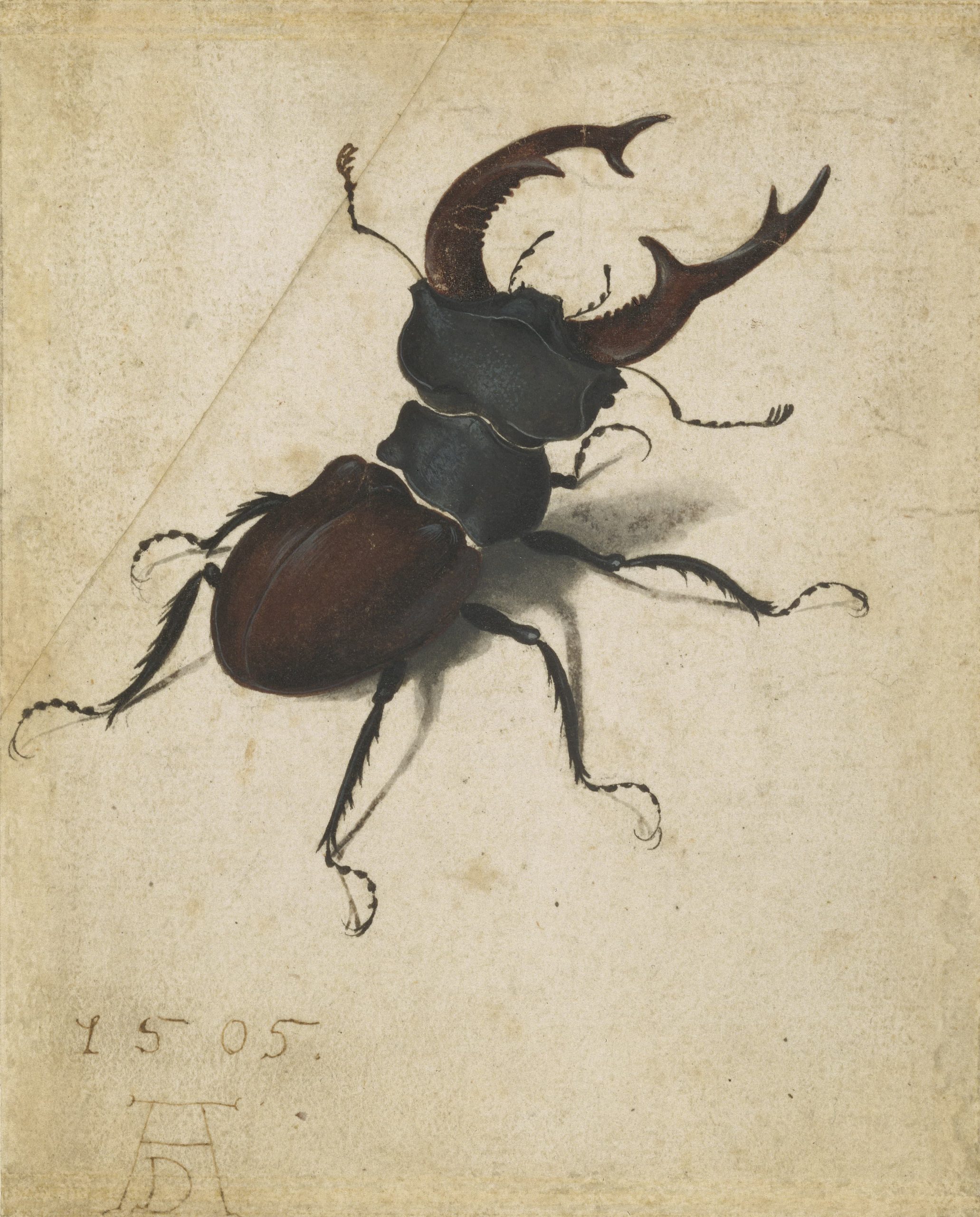 Albrecht Dürer 作品预览 11