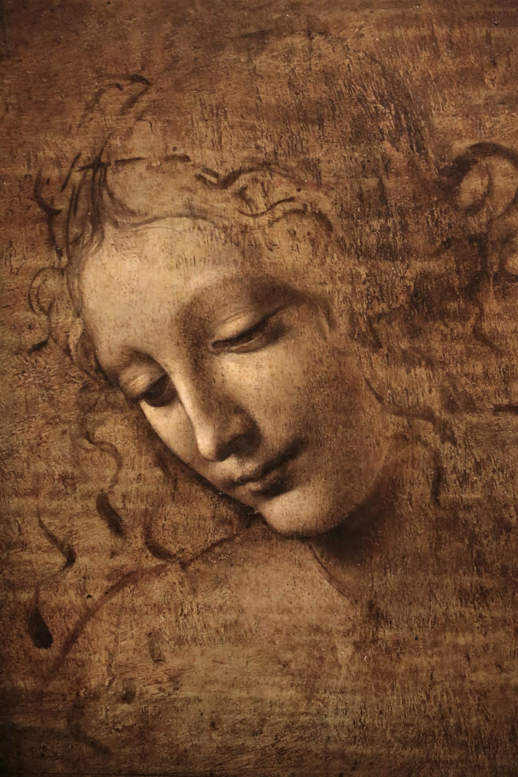 Leonardo da Vinci 作品预览 06