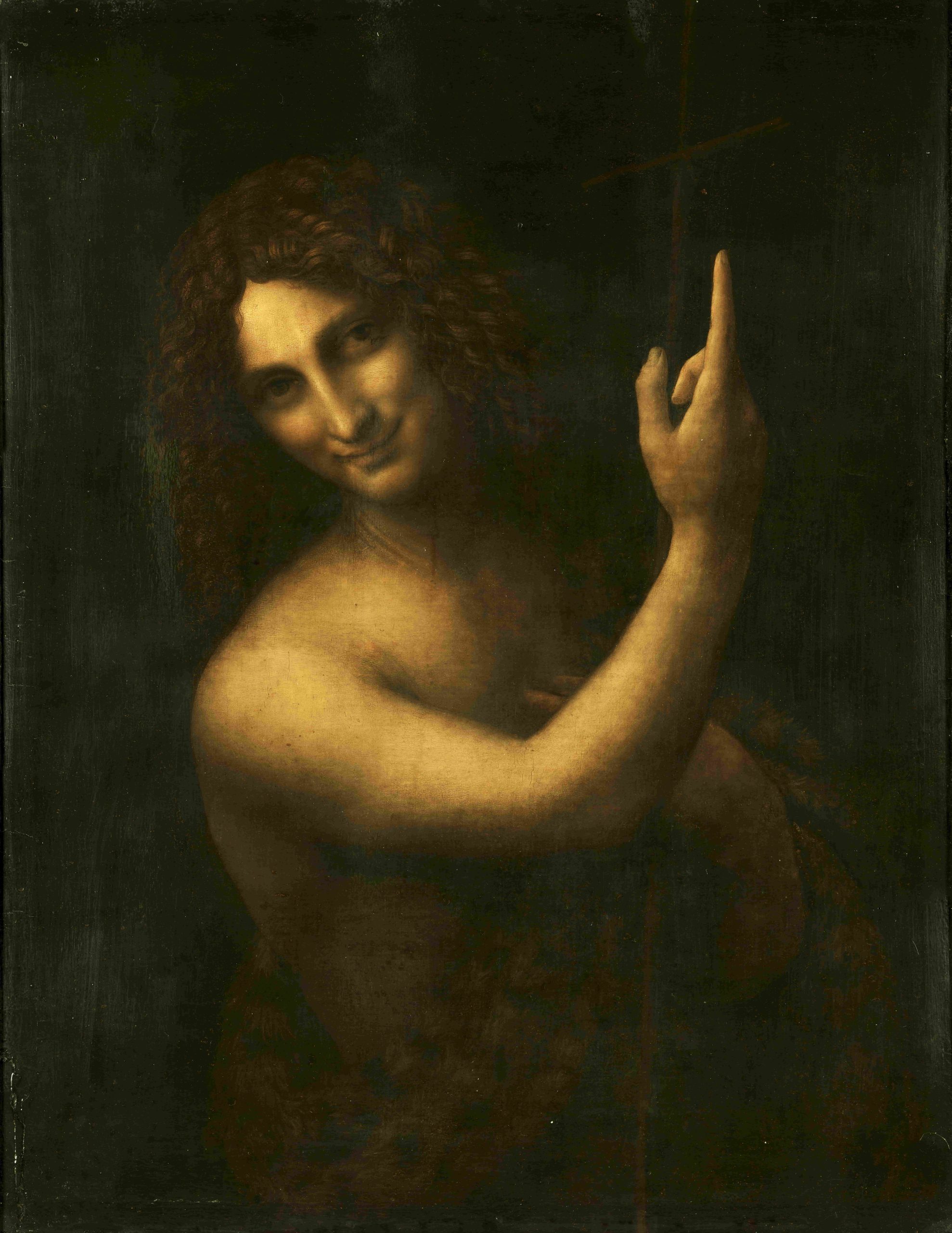 Leonardo da Vinci 作品预览 10
