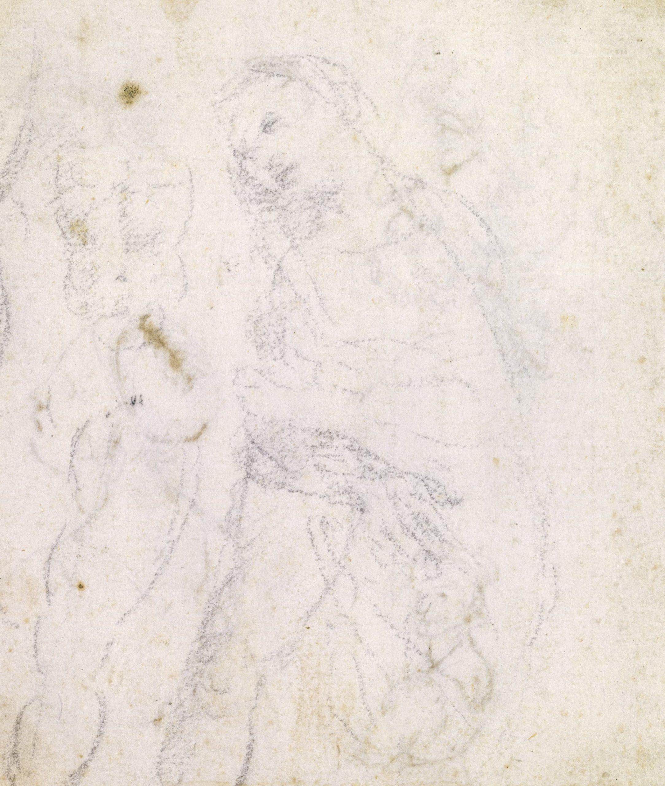 Leonardo da Vinci 作品预览 19