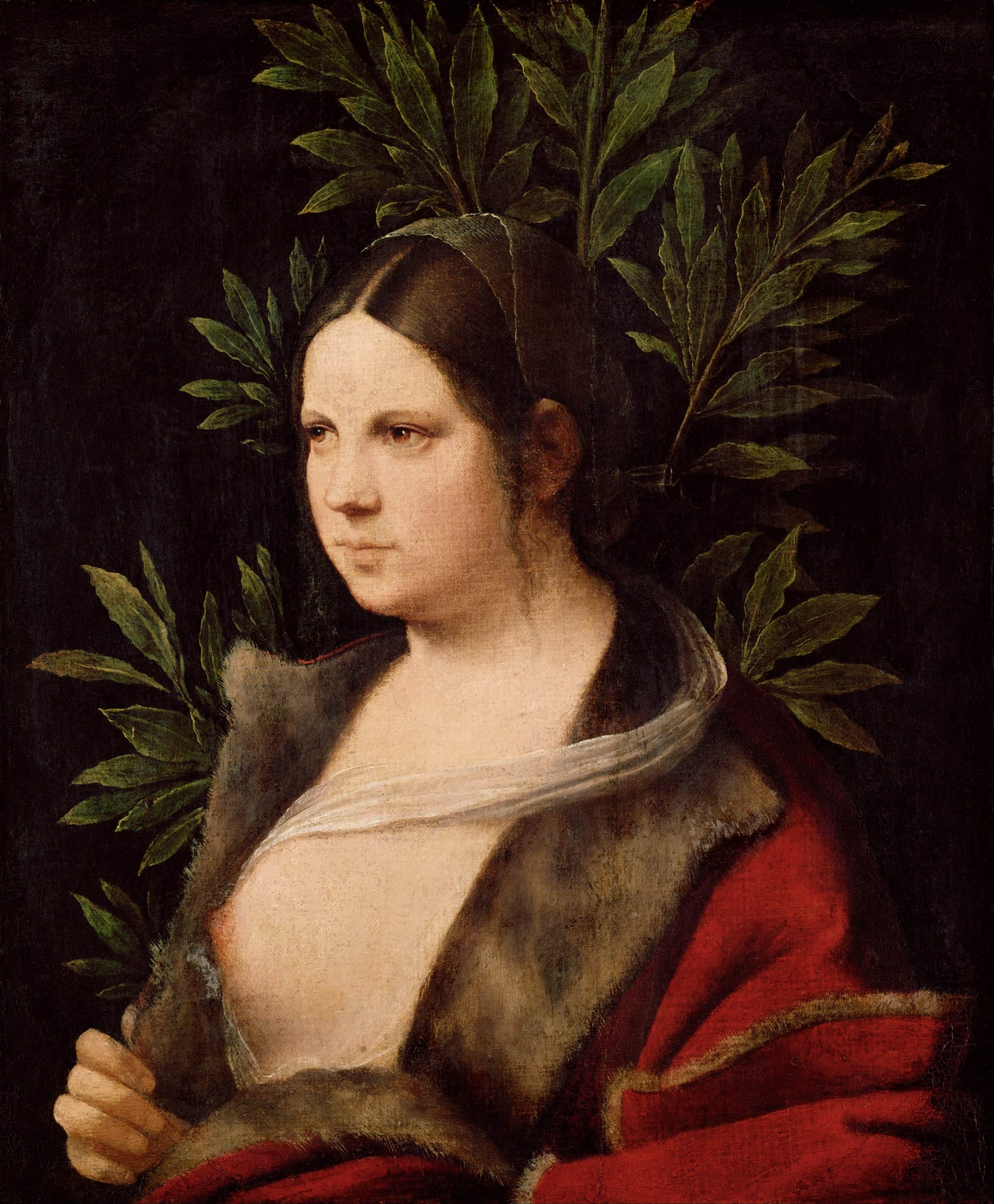Giorgione 作品预览 06