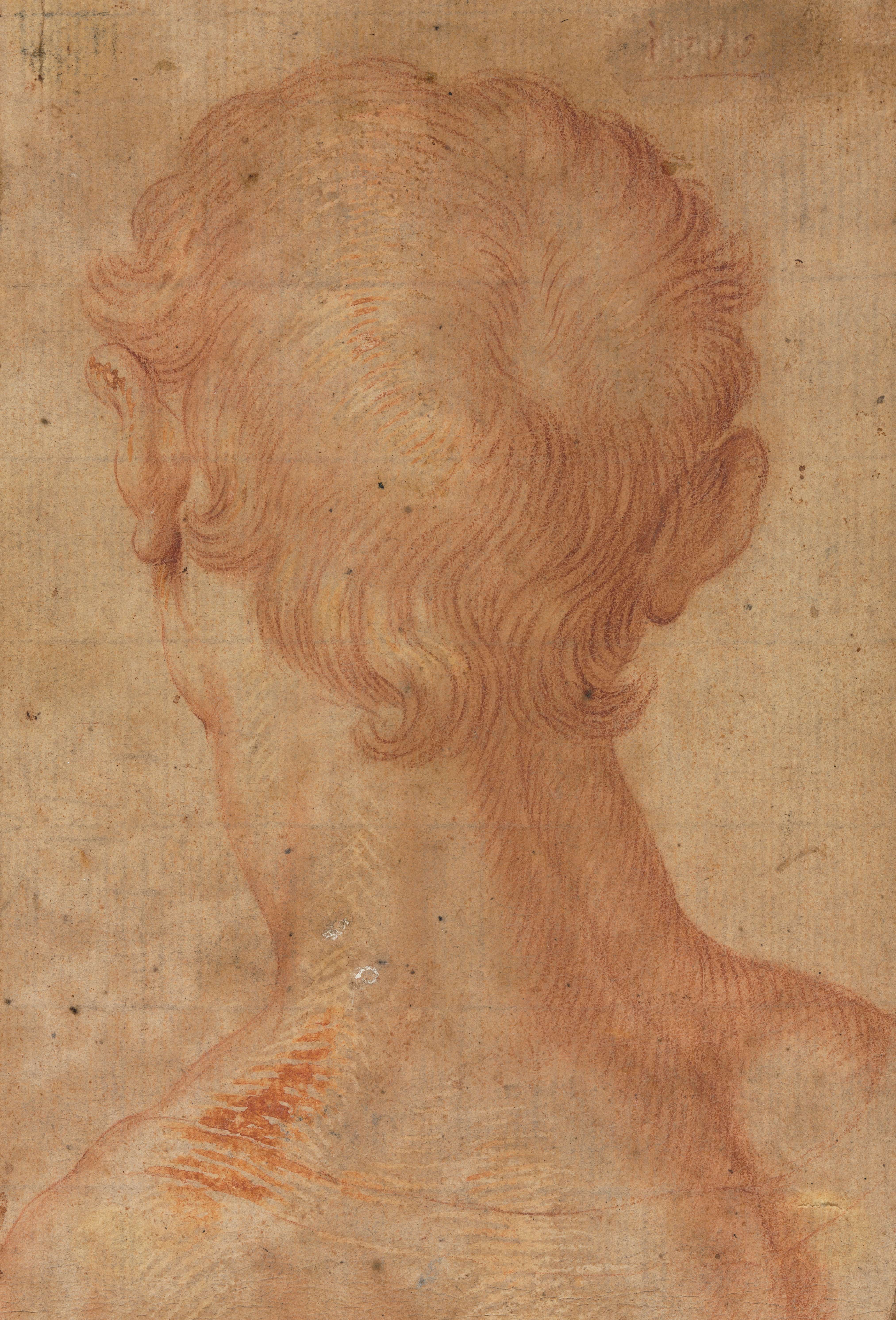《背面所见男子头部》（Man’s Head from the Back (16th century?)）｜阿尼奥洛·布龙齐诺 Agnolo Bronzino｜年代不明