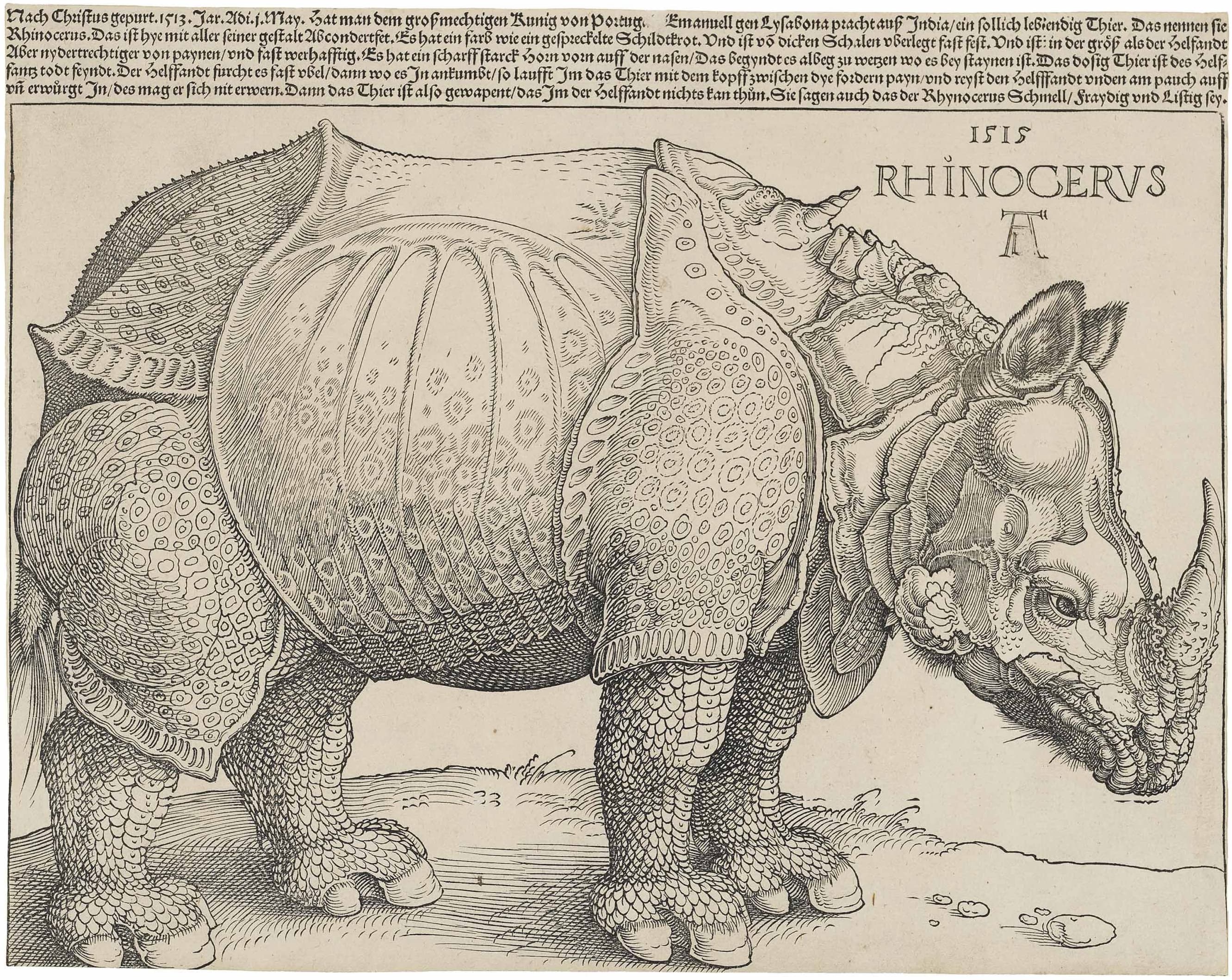 《犀牛》（Rhinoceros）｜阿尔布雷希特·丢勒 Albrecht Dürer｜1515