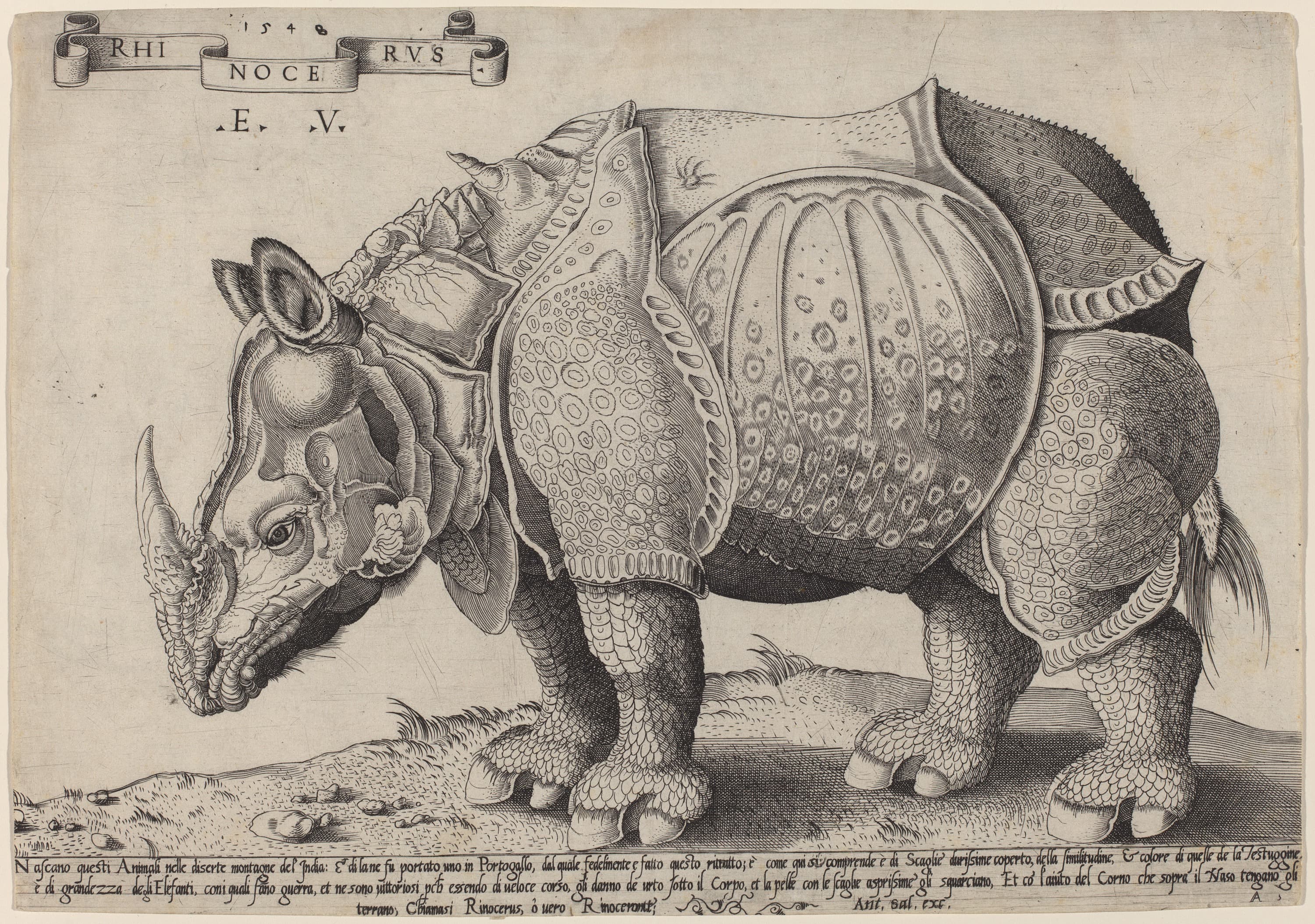 《犀牛》（Rhinoceros）｜阿尔布雷希特·丢勒 Albrecht Dürer｜1515