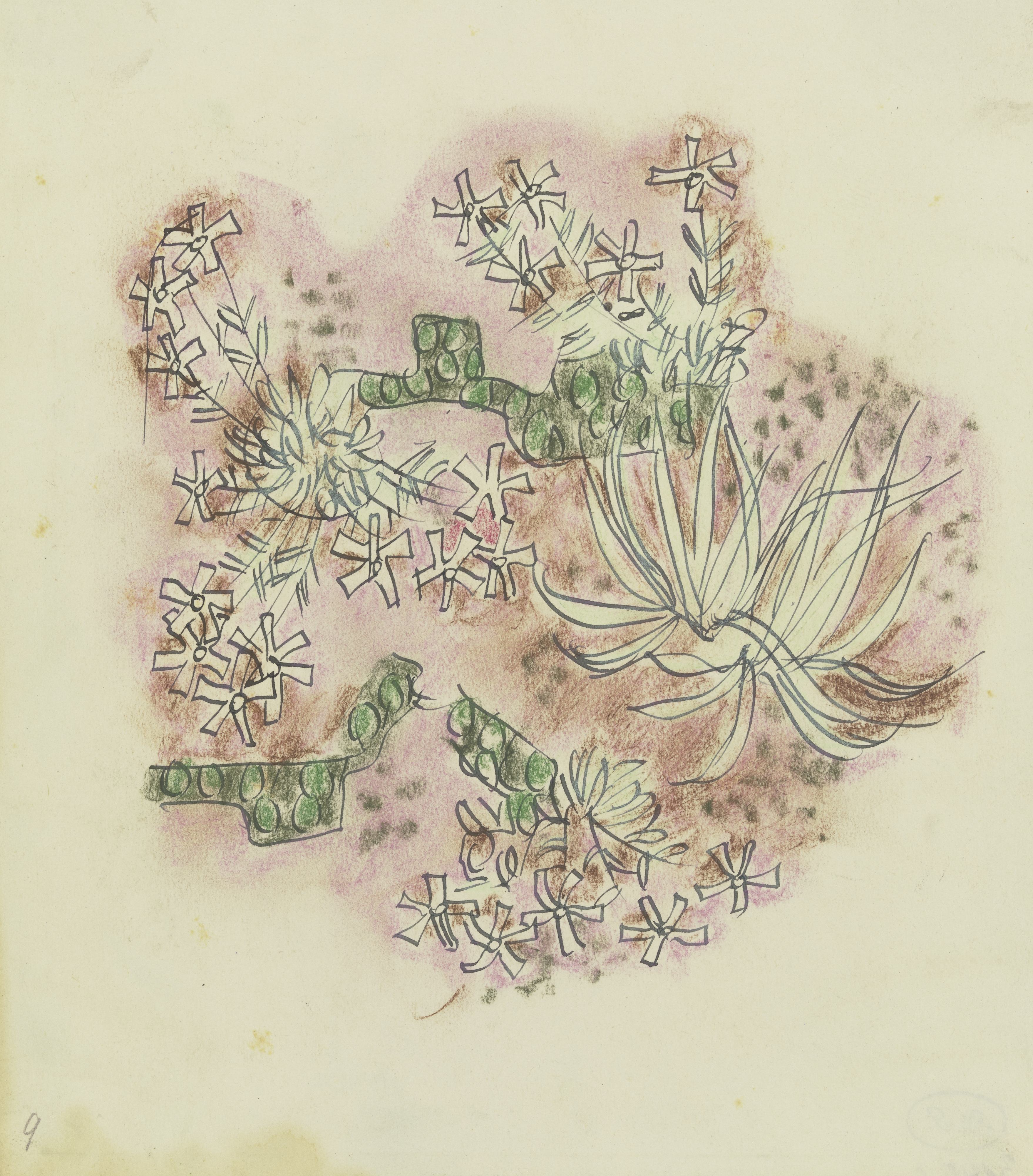 《植物研究3》（Study of plants 3）｜奥古斯特·巴贝格 August Babberger｜不明