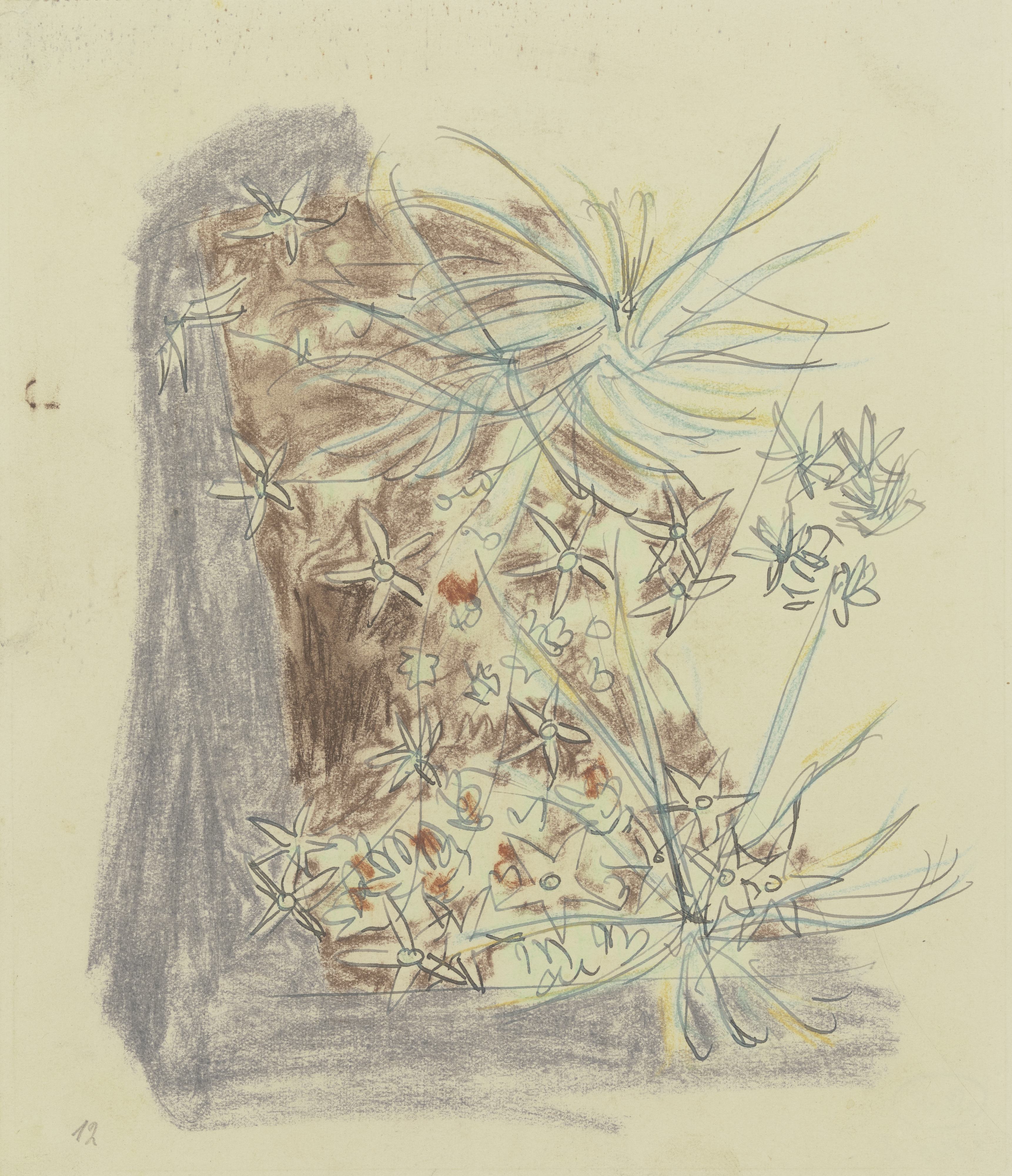 《植物研究2》（Study of plants 2）｜奥古斯特·巴贝格 August Babberger｜不明