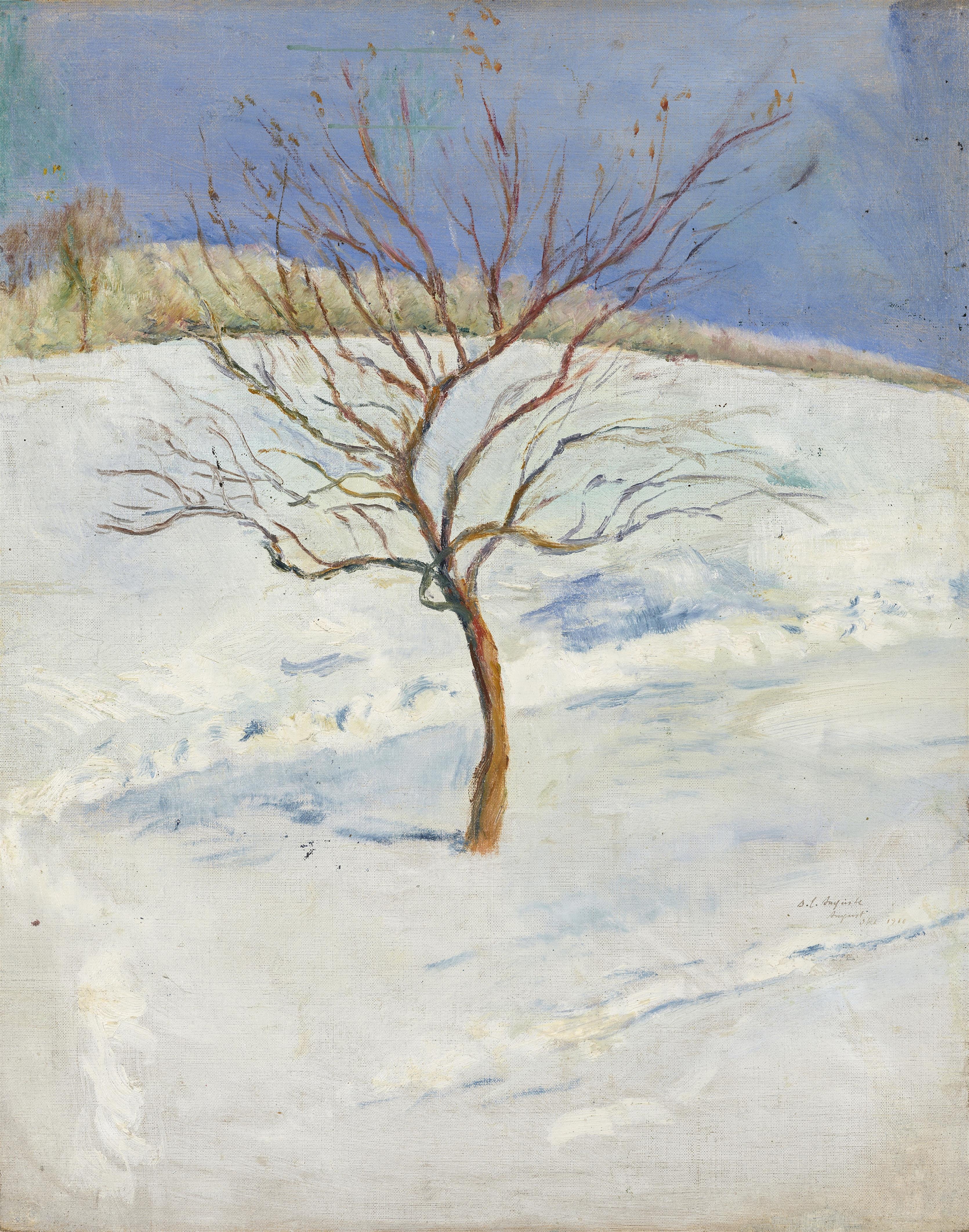 Tree in snowy landscape