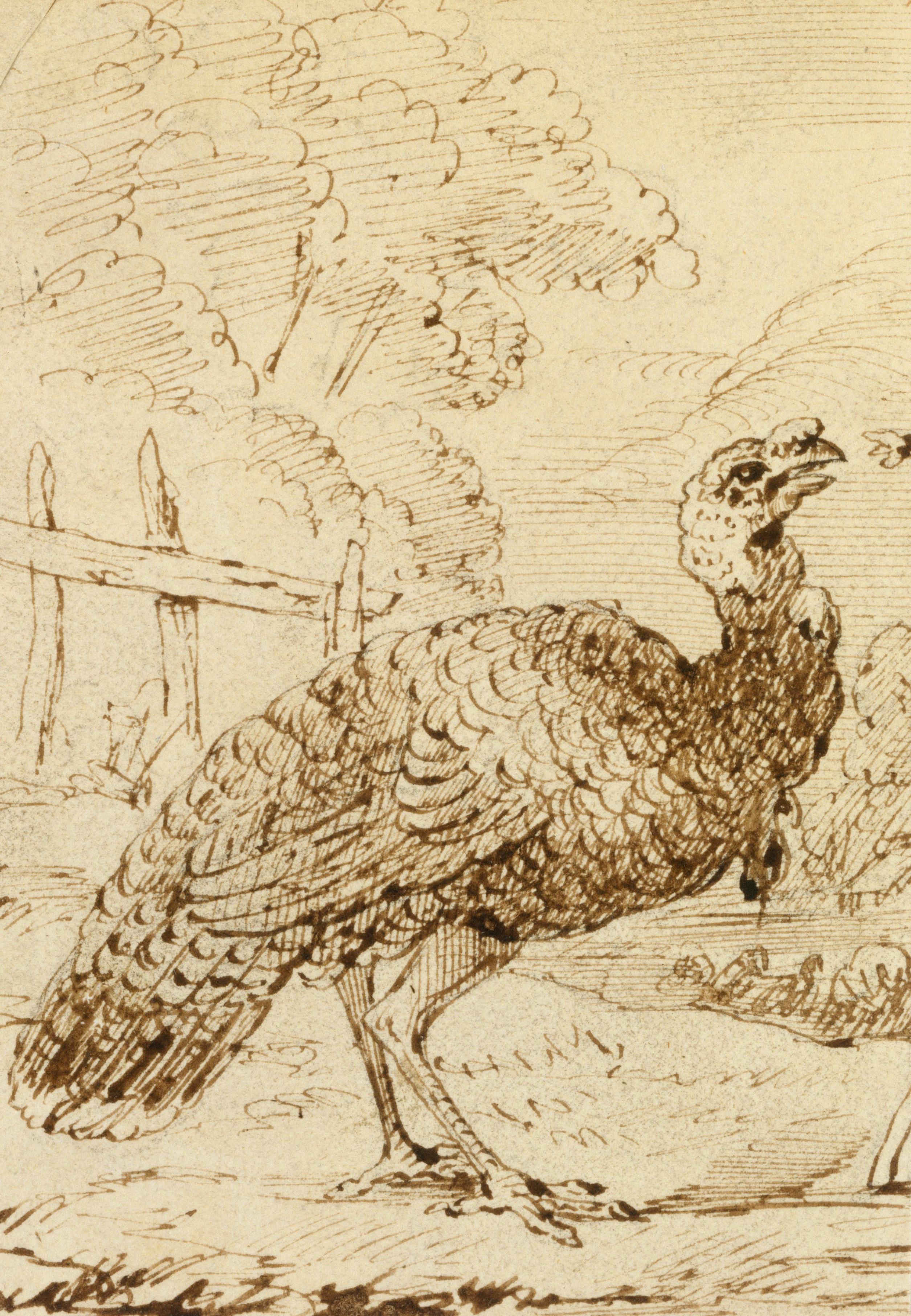《火鸡》（Turkey）｜本杰明·韦斯特 Benjamin West｜不明