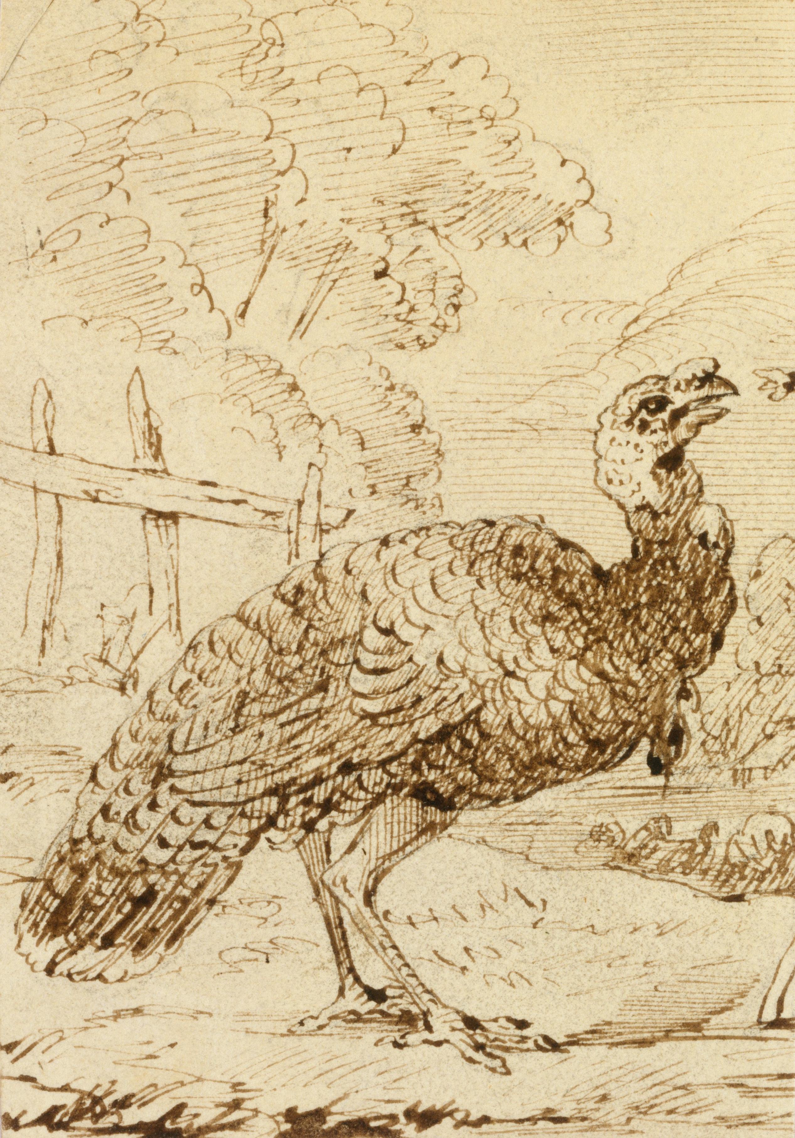 《火鸡》（Turkey）｜本杰明·韦斯特 Benjamin West｜不明