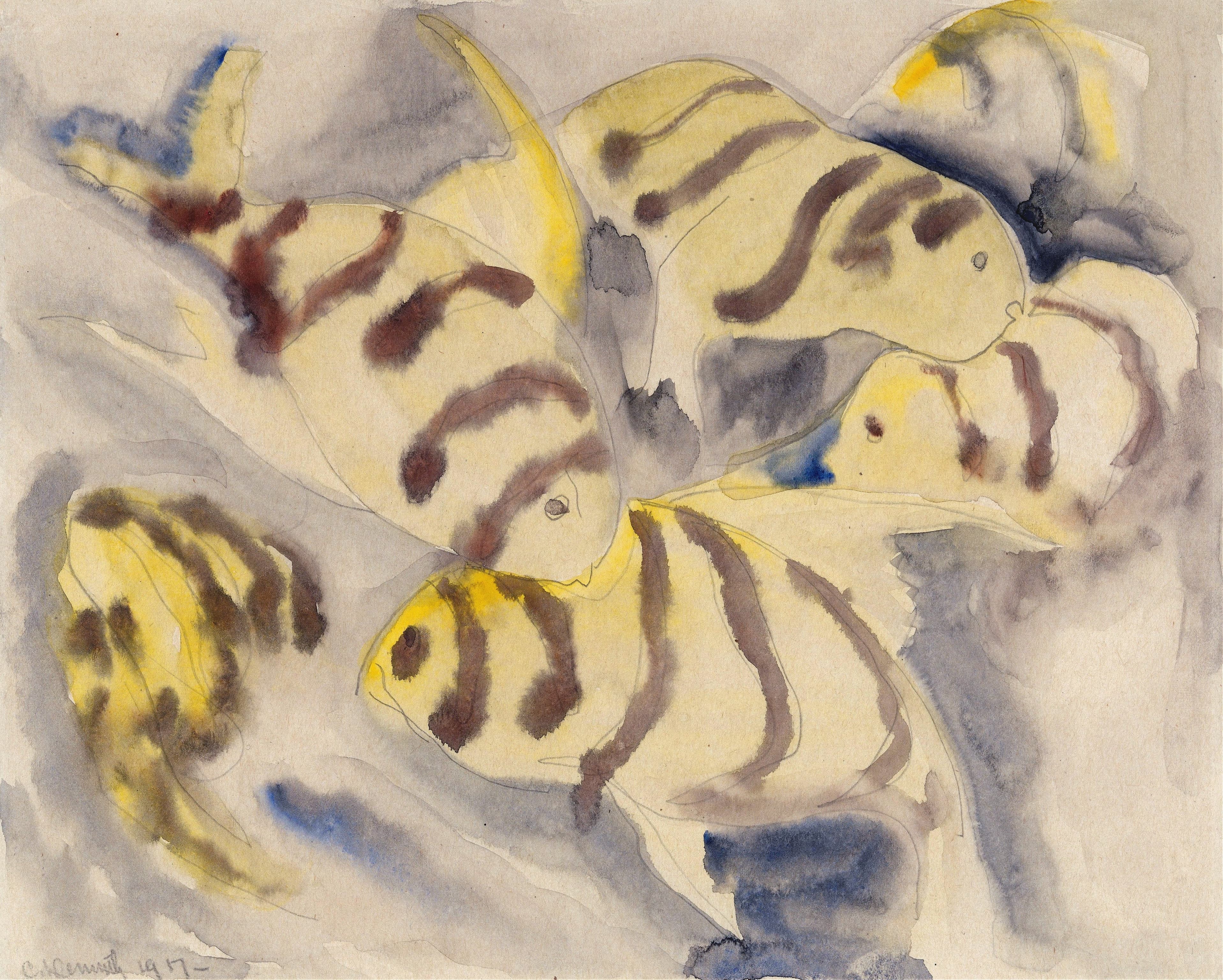 《鱼系列3号》（Fish Series No 3）｜查尔斯·德穆斯 Charles Demuth｜1917