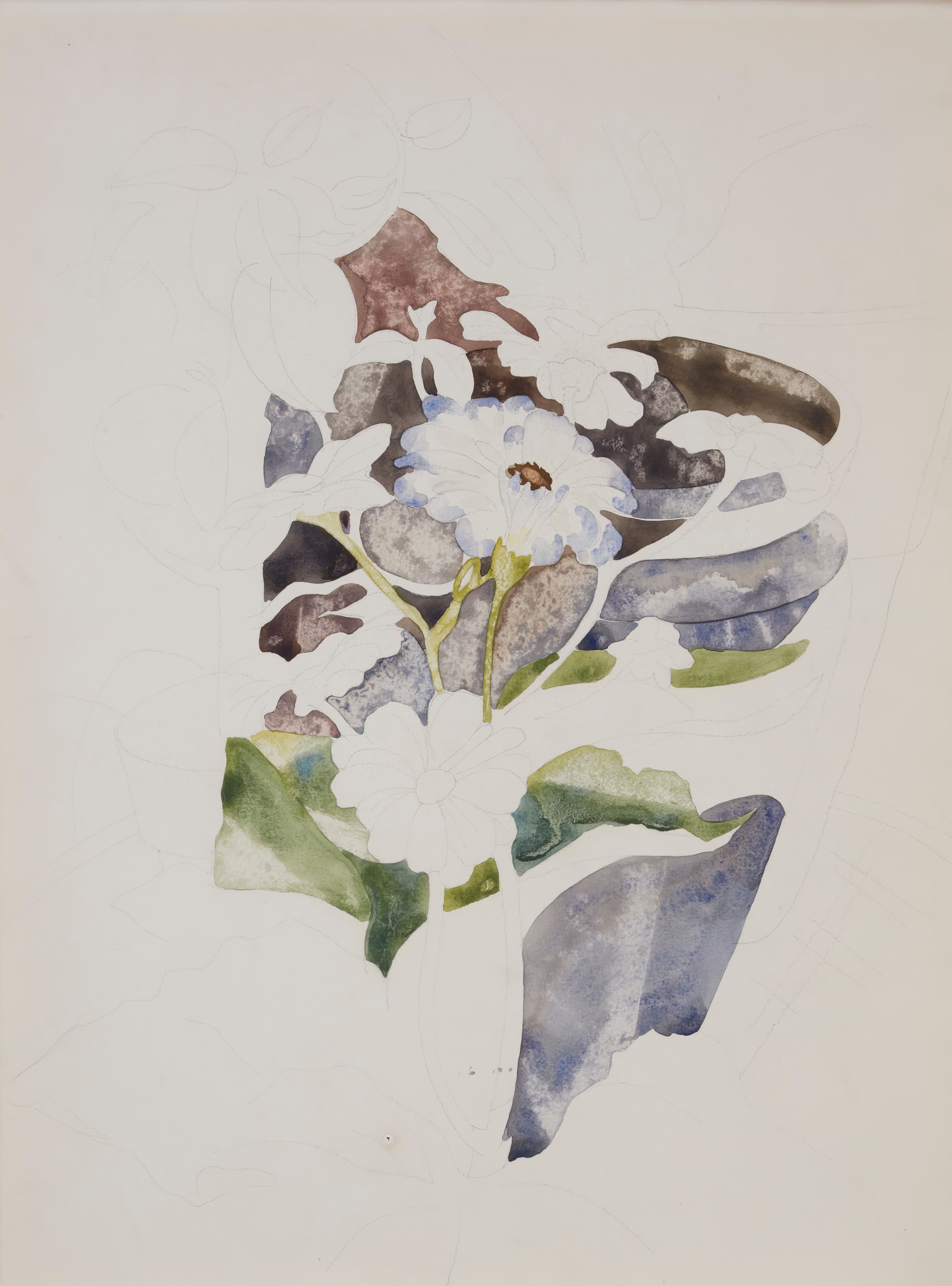 《百日草》（Zinnias）｜查尔斯·德穆斯 Charles Demuth｜1918