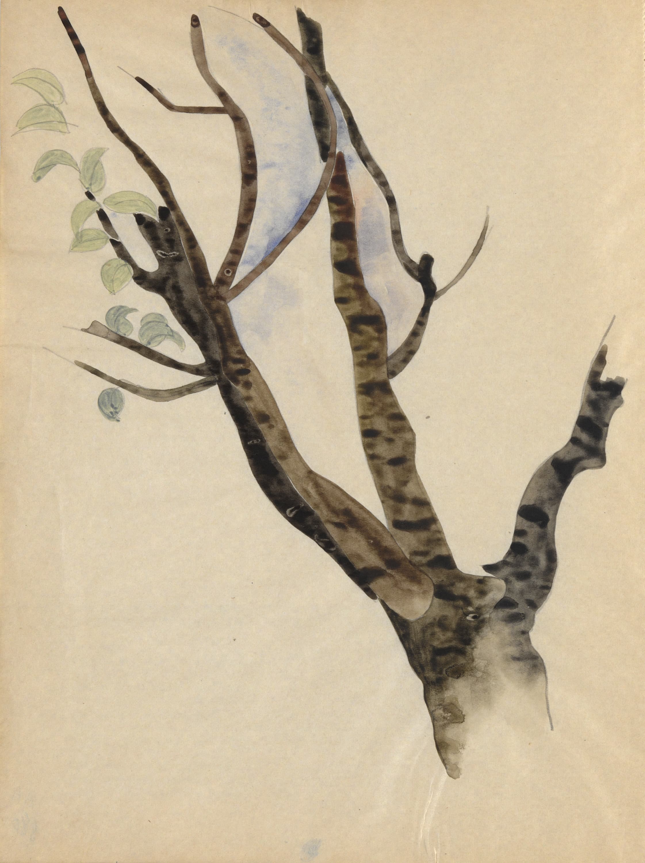 《海报肖像习作册》（Sketchbook with Studies for Poster Portraits）｜查尔斯·德穆斯 Charles Demuth｜约1921–1935