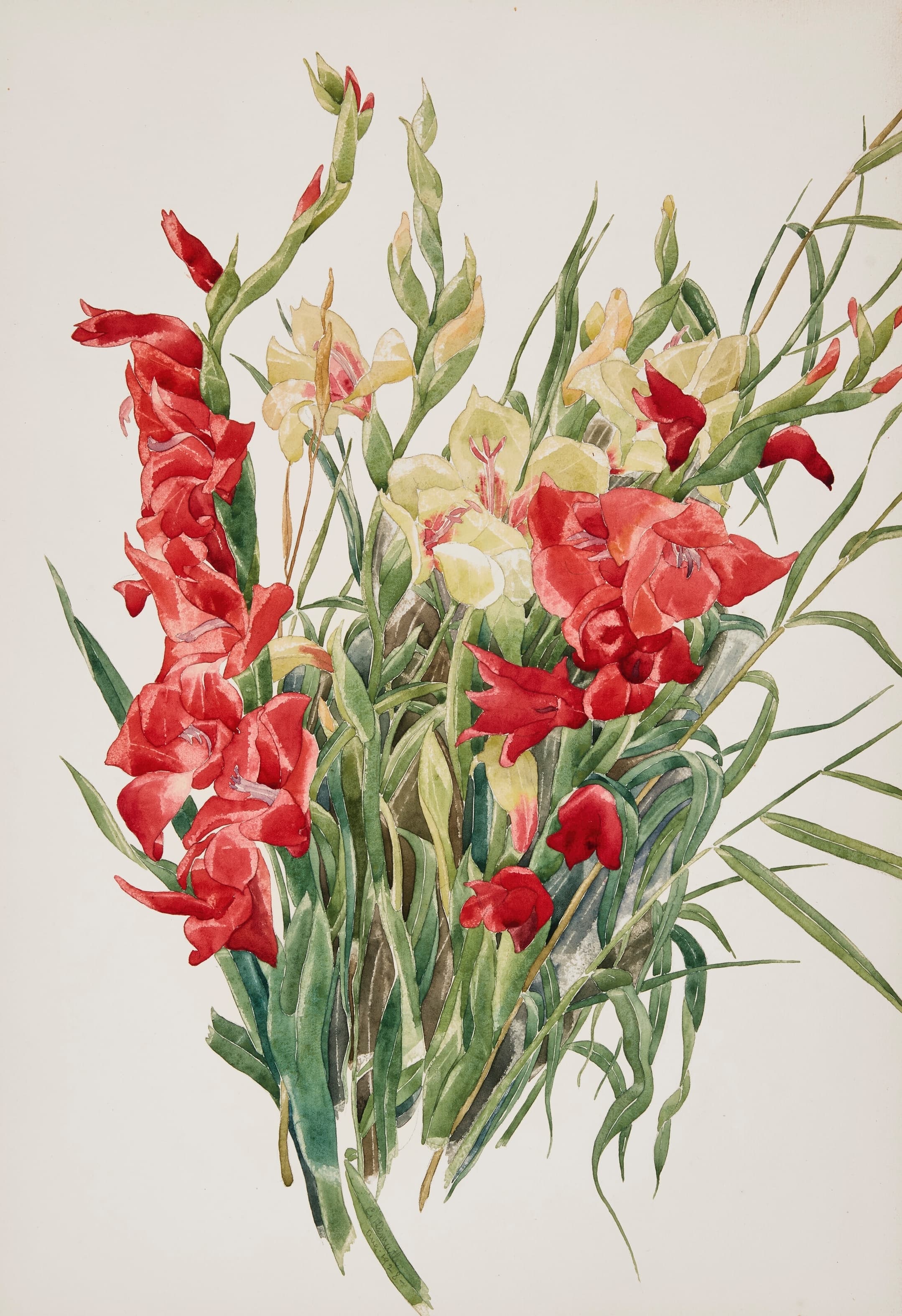 《红色和黄色剑兰》（Red and Yellow Gladioli）｜查尔斯·德穆斯 Charles Demuth｜1928