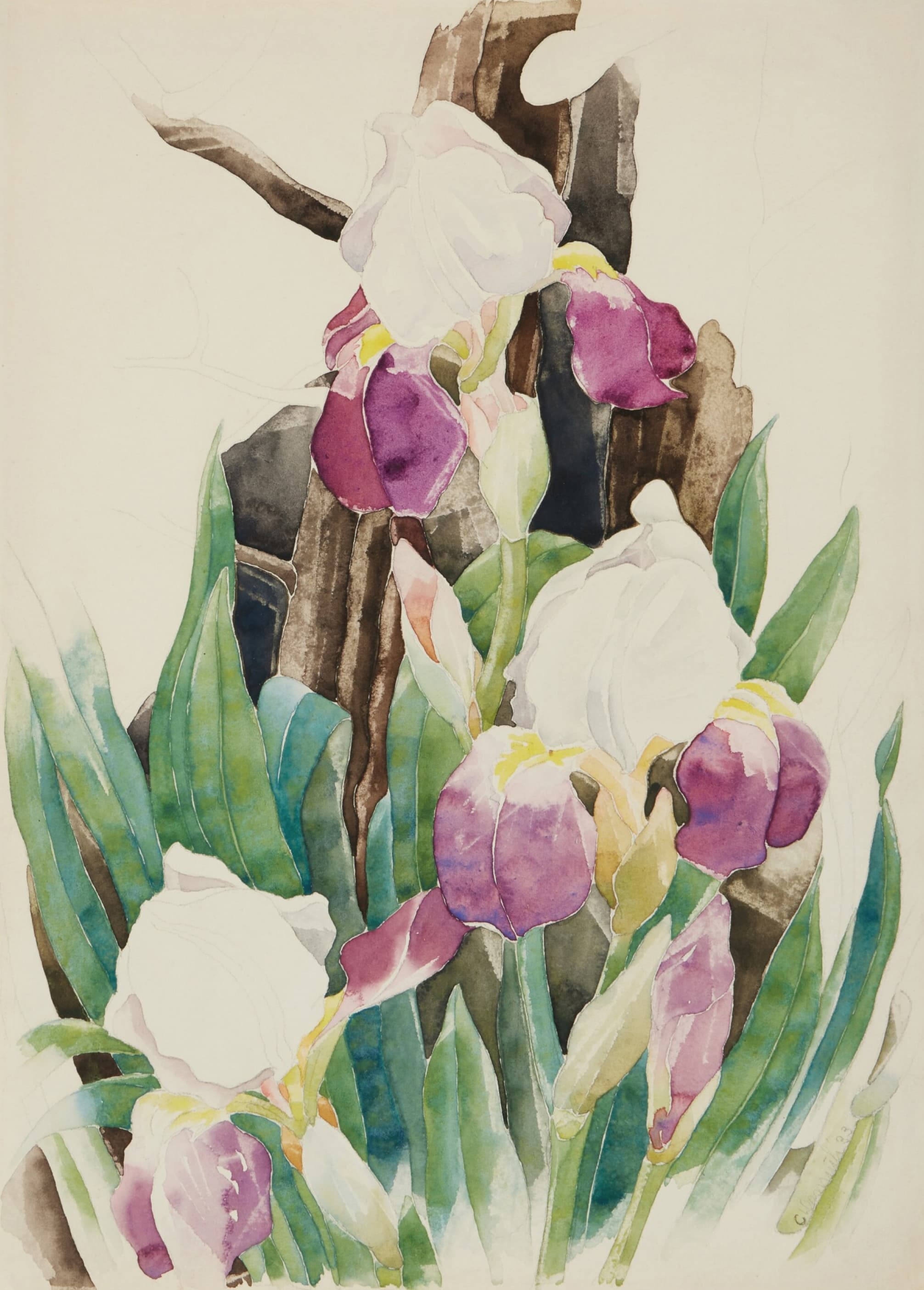 《虹膜》（Iris）｜查尔斯·德穆斯 Charles Demuth｜不明