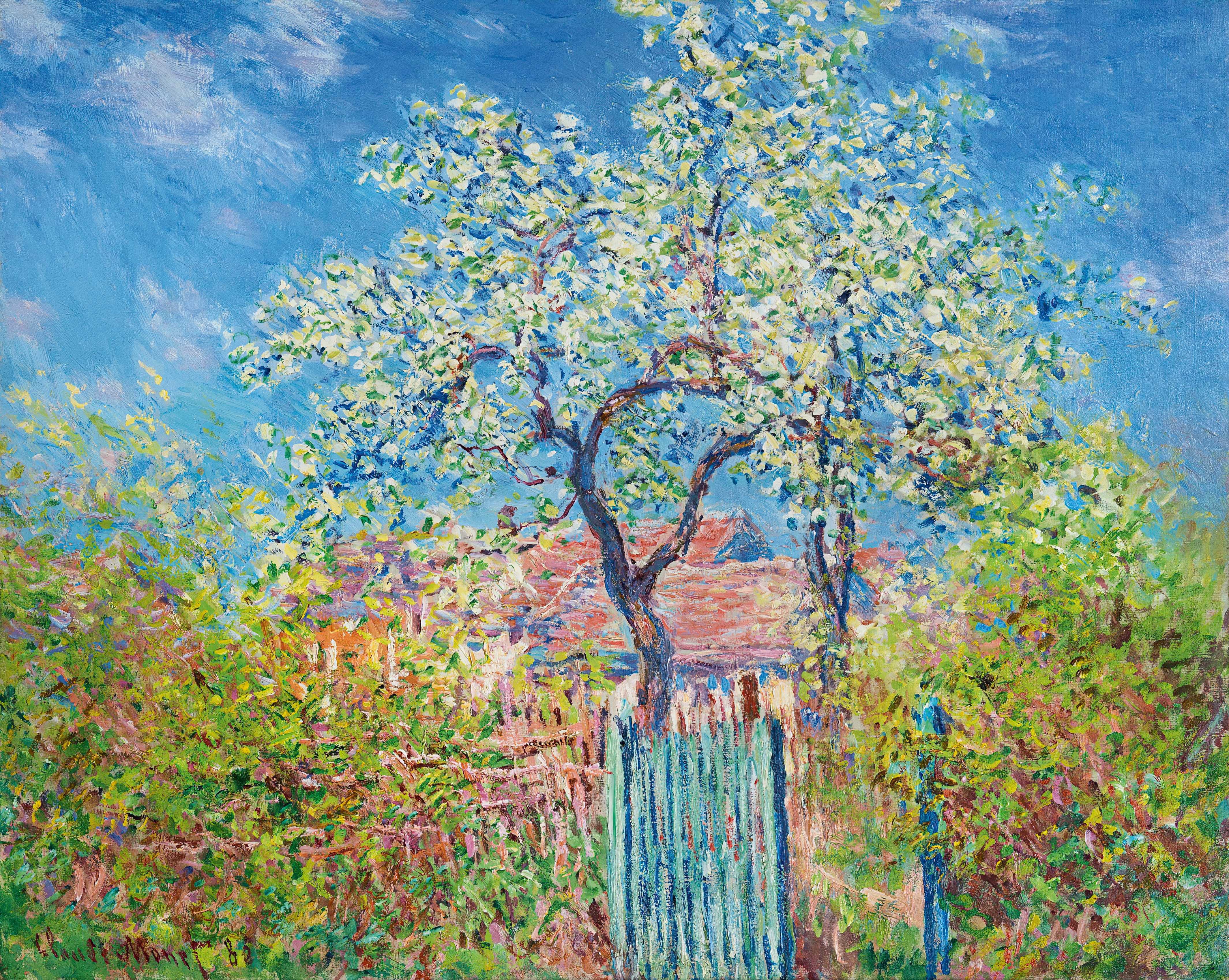 《梨树盛开》（Poirier En Fleurs）｜克劳德·莫奈 Claude Monet｜1885