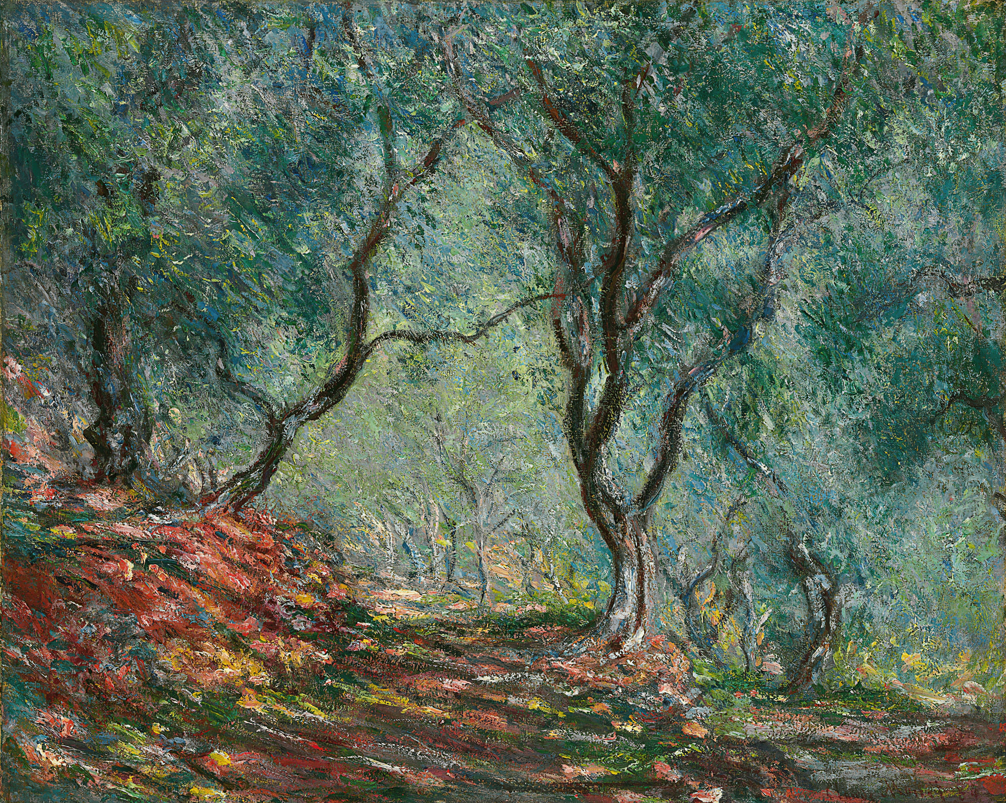 《莫雷诺花园的橄榄树林》（Bois d’oliviers au jardin Moreno）｜克劳德·莫奈 Claude Monet｜1884