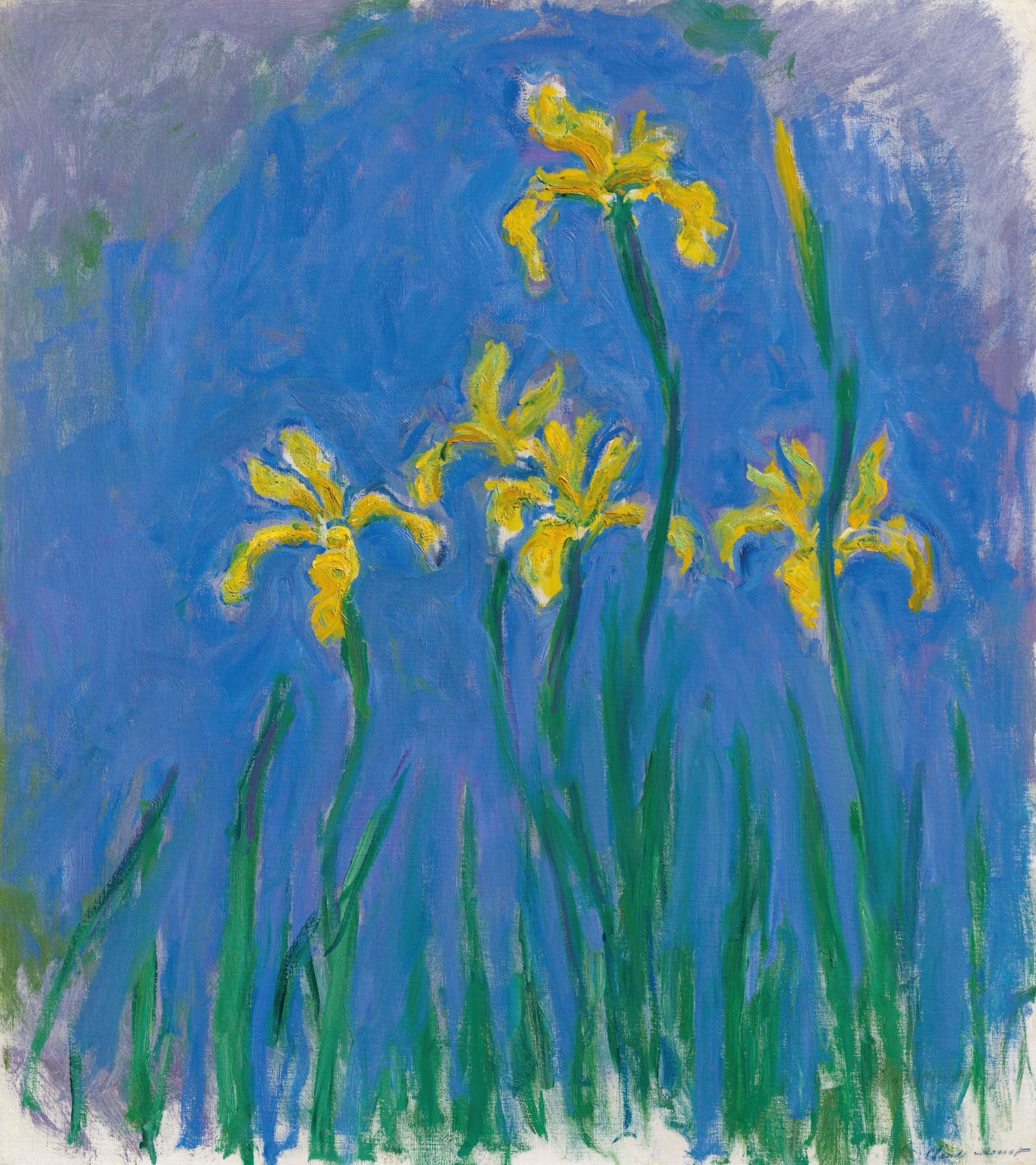 《鸢尾花》（Iris）｜克劳德·莫奈 Claude Monet｜1924–1925