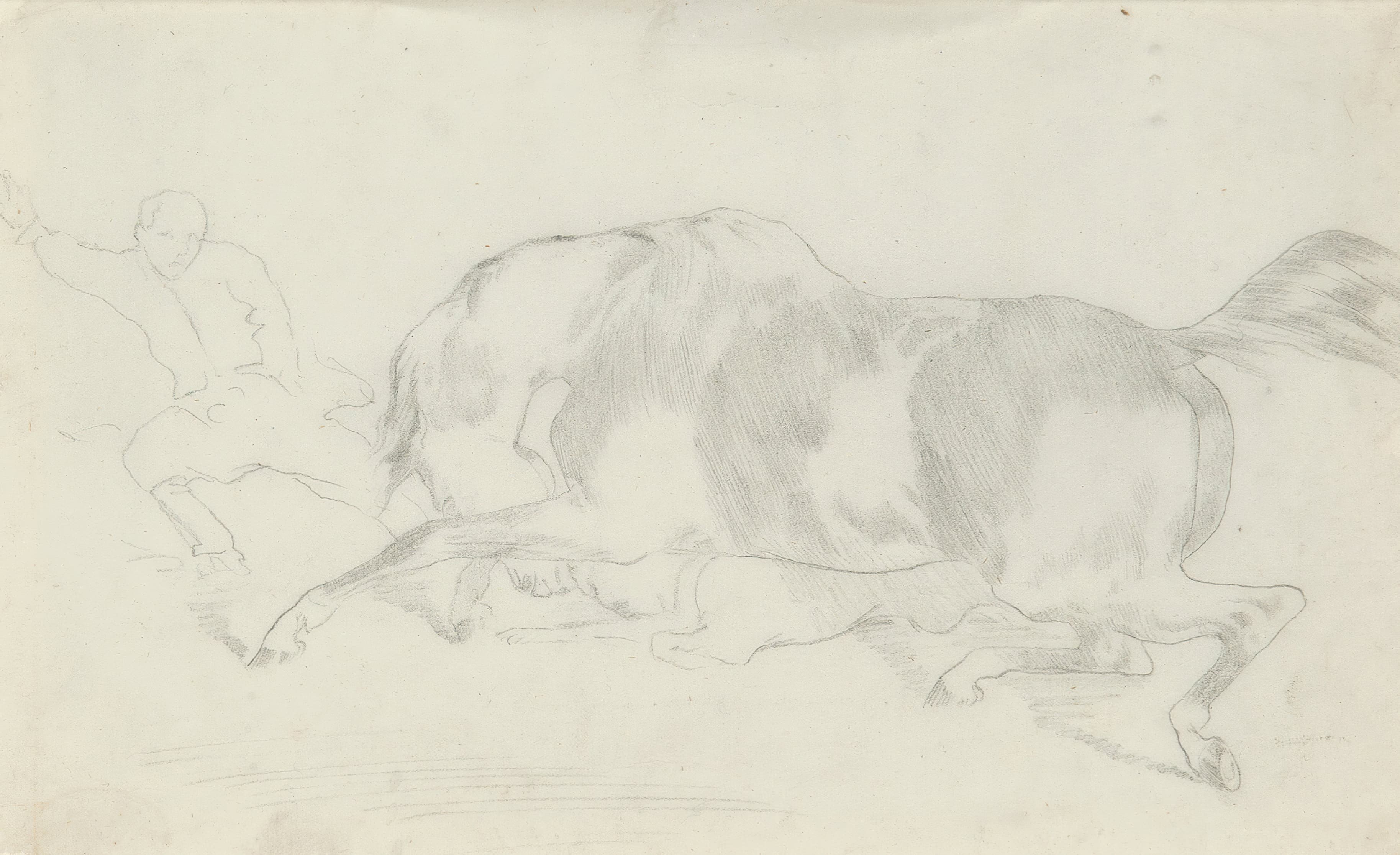 《马研究》（Horse study）｜埃德加·德加 Edgar Degas｜约 1860