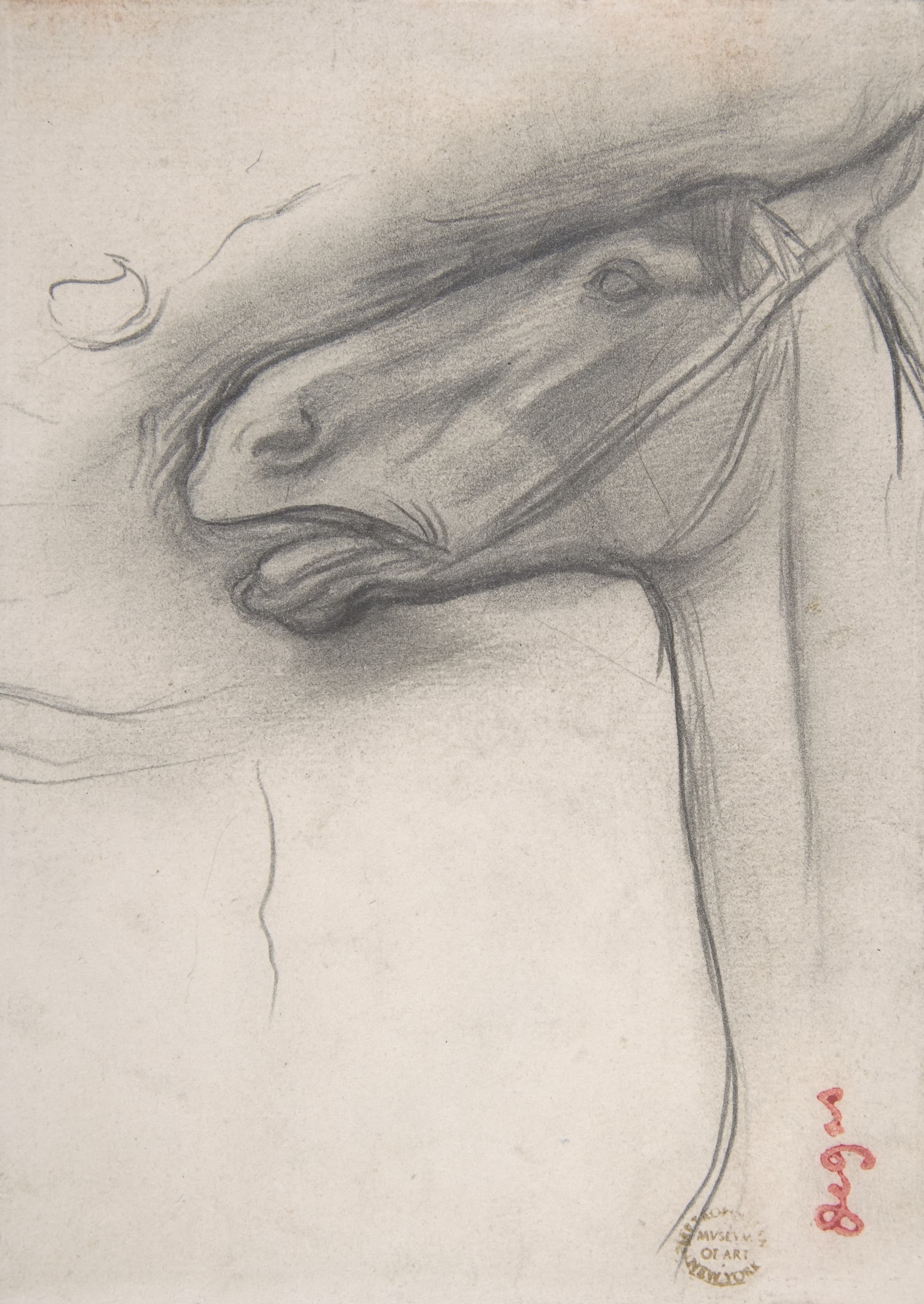 《一匹马的头》（Head of a Horse）｜埃德加·德加 Edgar Degas｜约 1878
