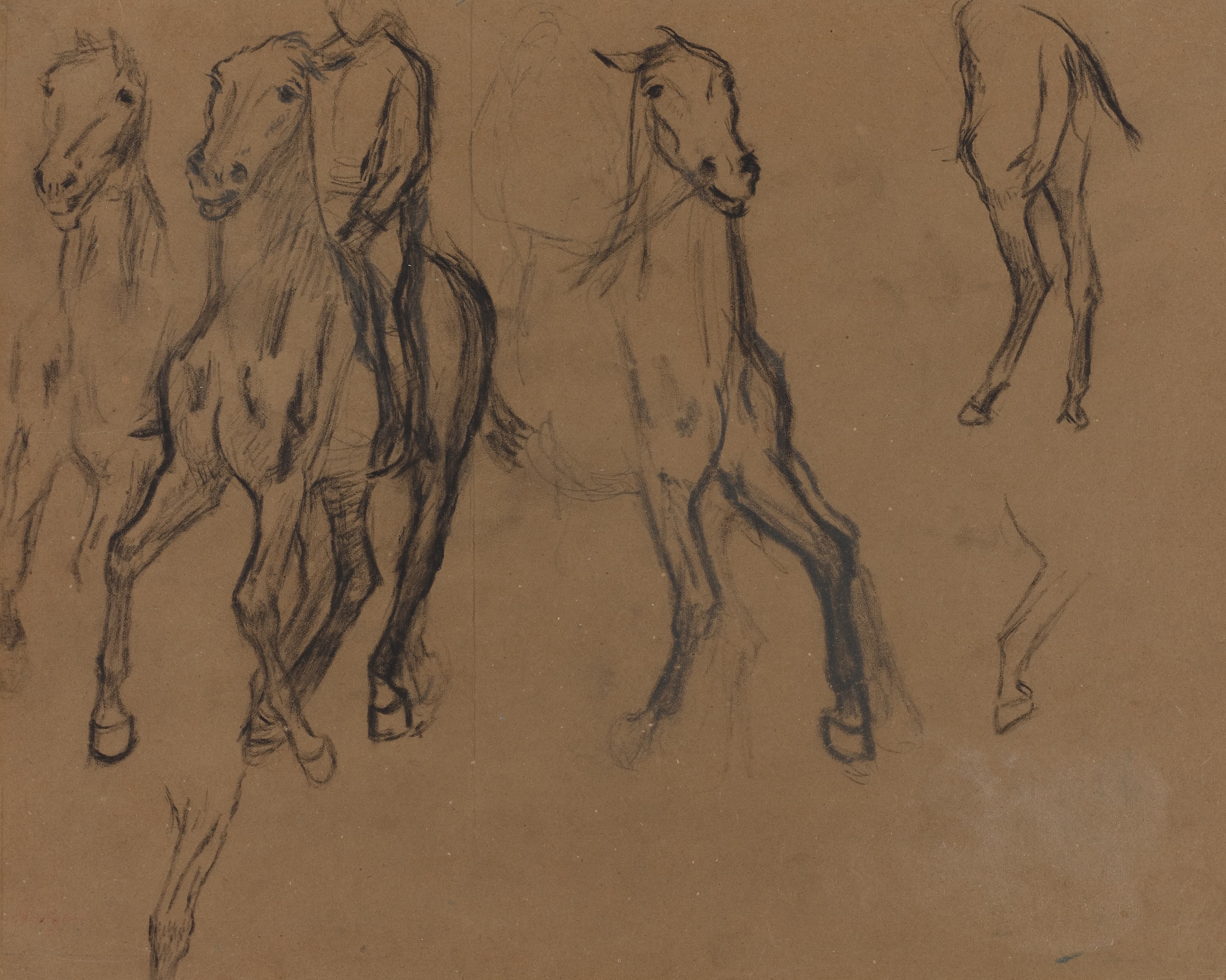 《马研究》（Study of Horses）｜埃德加·德加 Edgar Degas｜约. 1886