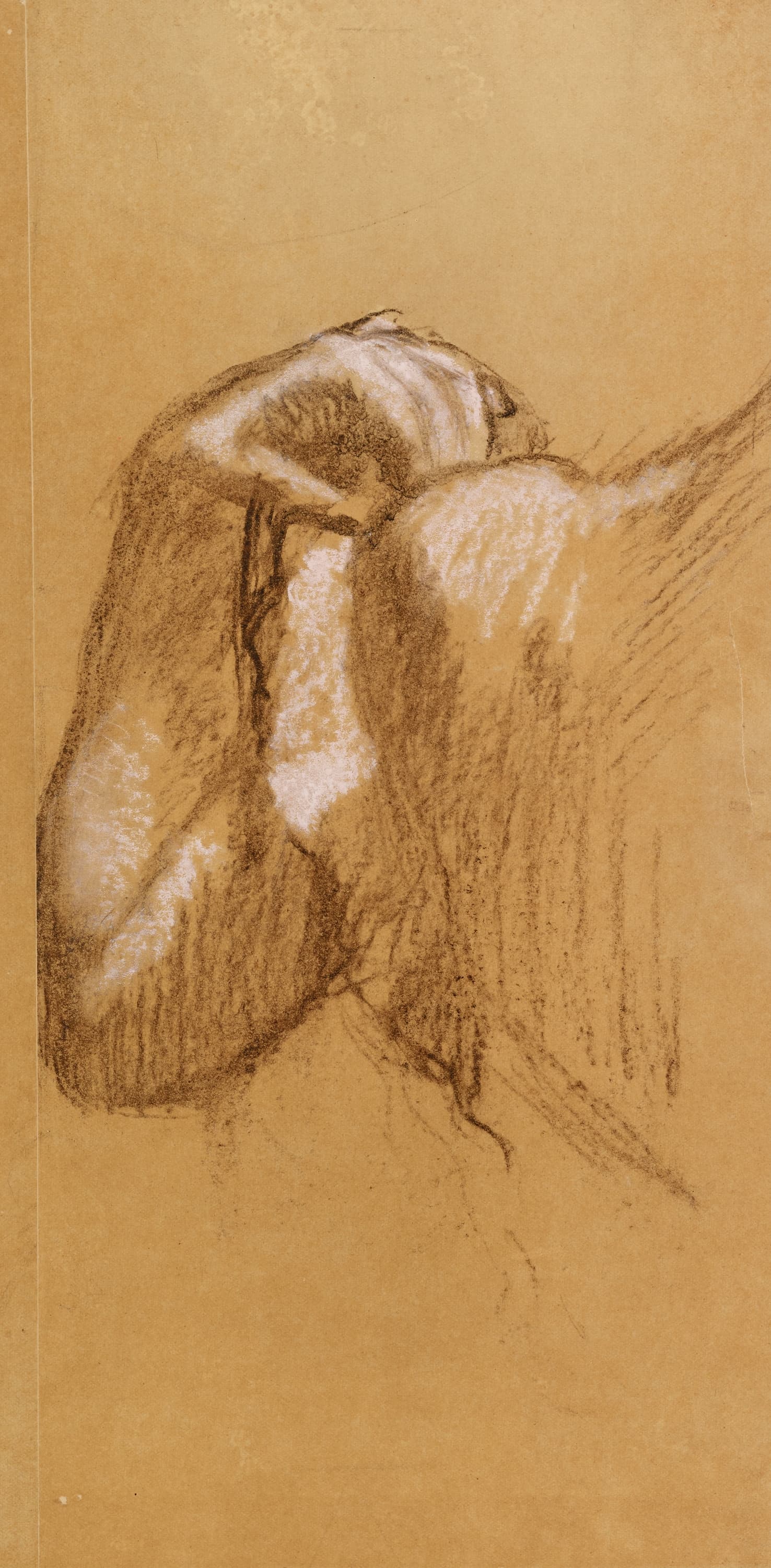 《手臂研究》（Study of an Arm）｜埃德加·德加 Edgar Degas｜1979