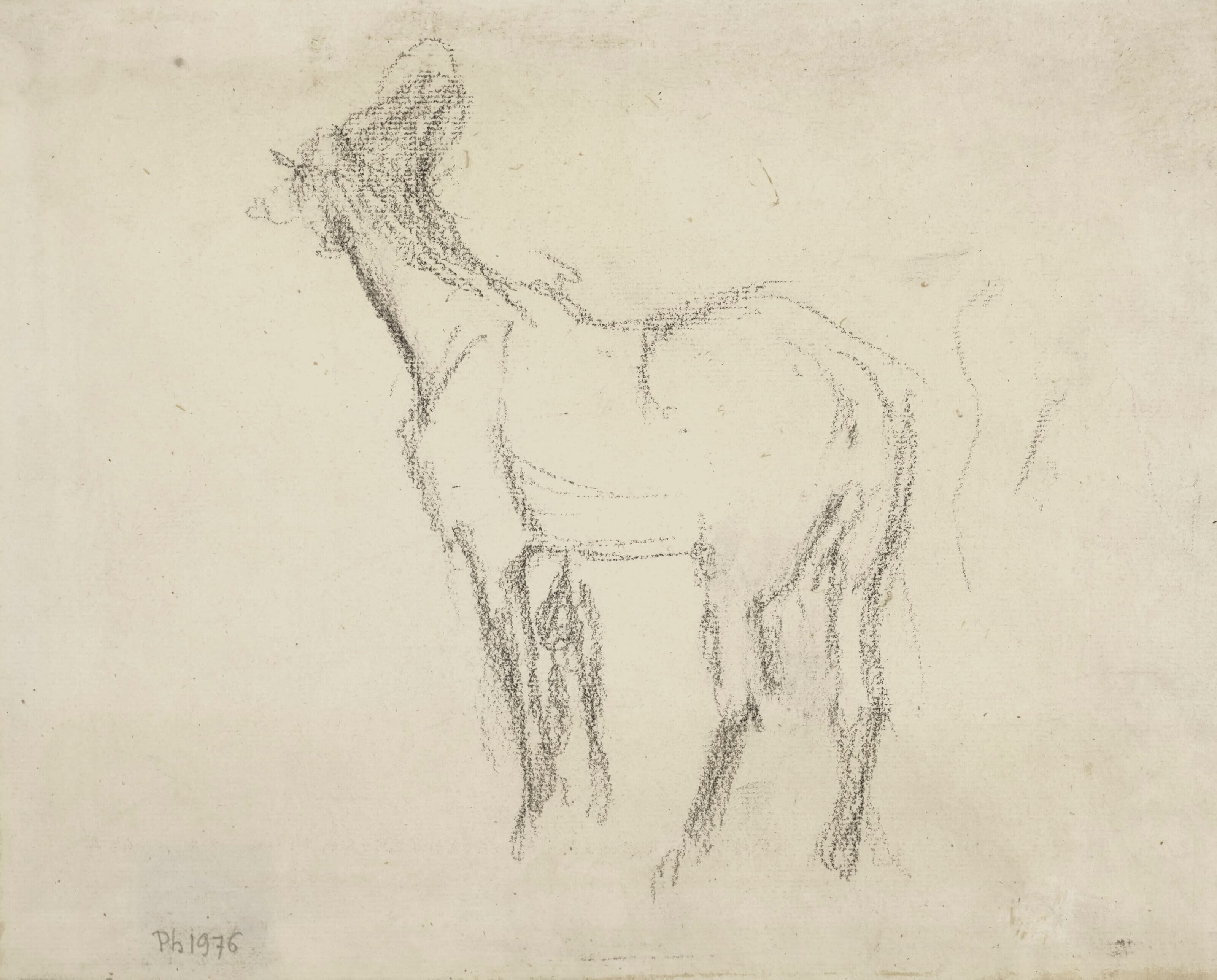 《雪马》（Cheval）｜埃德加·德加 Edgar Degas｜不明