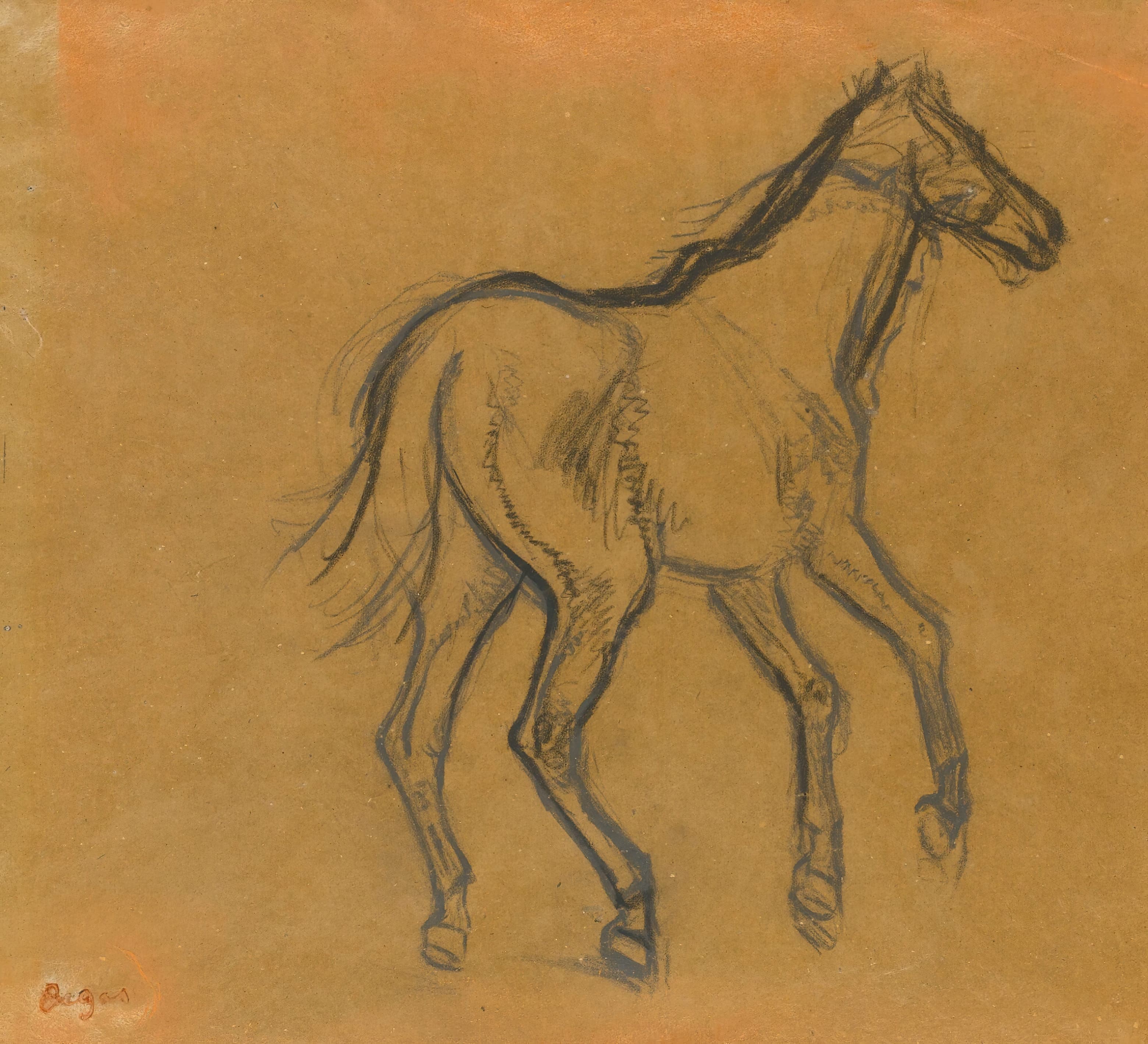 《马研究》（Horse Study）｜埃德加·德加 Edgar Degas｜不明