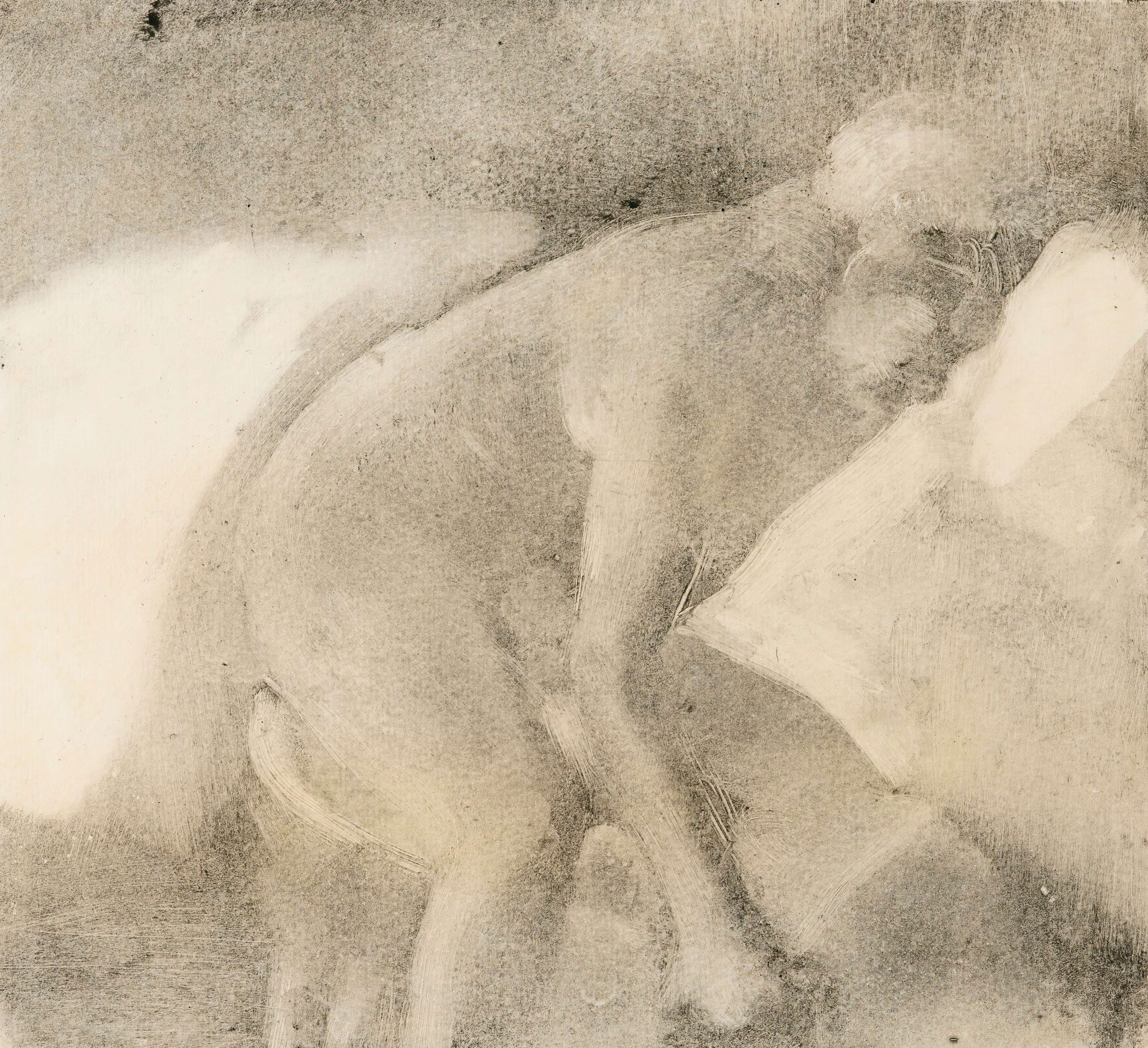 《盥洗室（Le Bidet）》（The Toilette (Le Bidet)）｜埃德加·德加 Edgar Degas｜不明