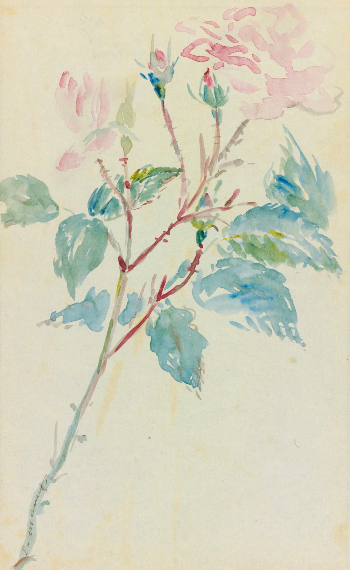 《野蔷薇》（Sweetbrier）｜爱德华·马奈 Édouard Manet