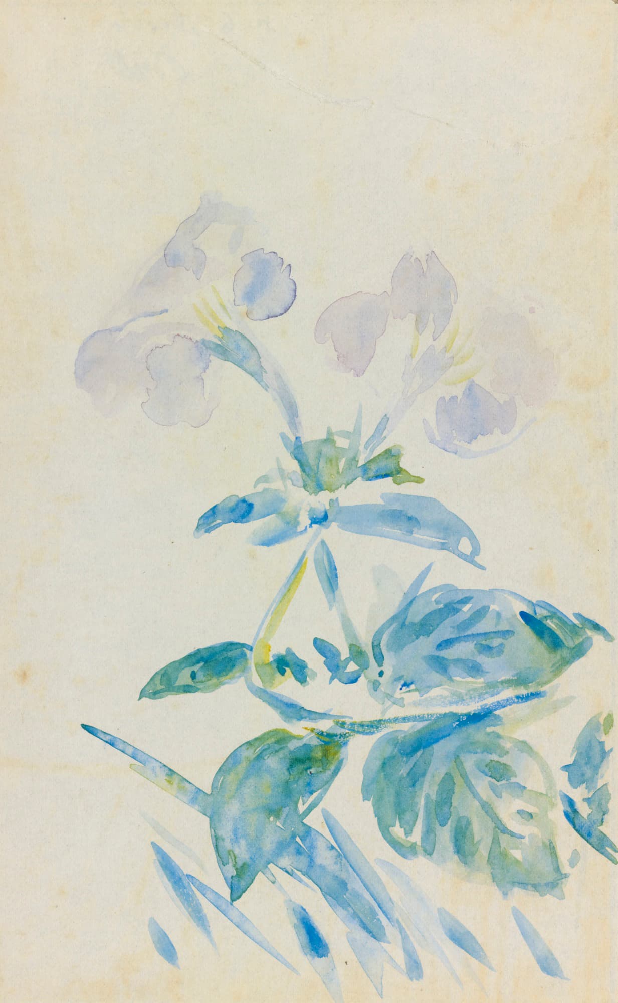 《长春花》（Pervenches）｜爱德华·马奈 Édouard Manet｜约 1880