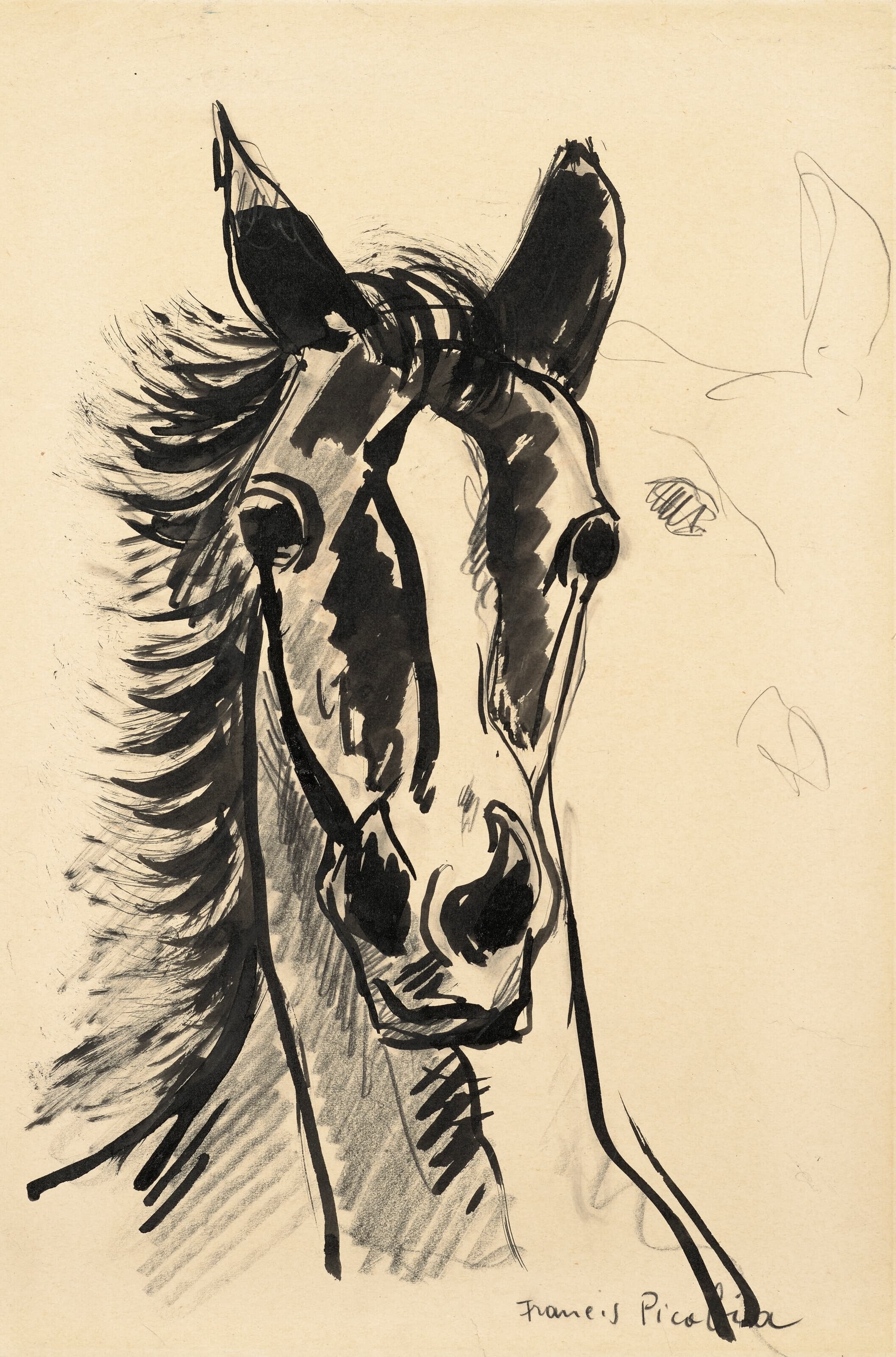 《马头》（Horse head）｜弗朗西斯·皮卡比亚 Francis Picabia｜1930–1935