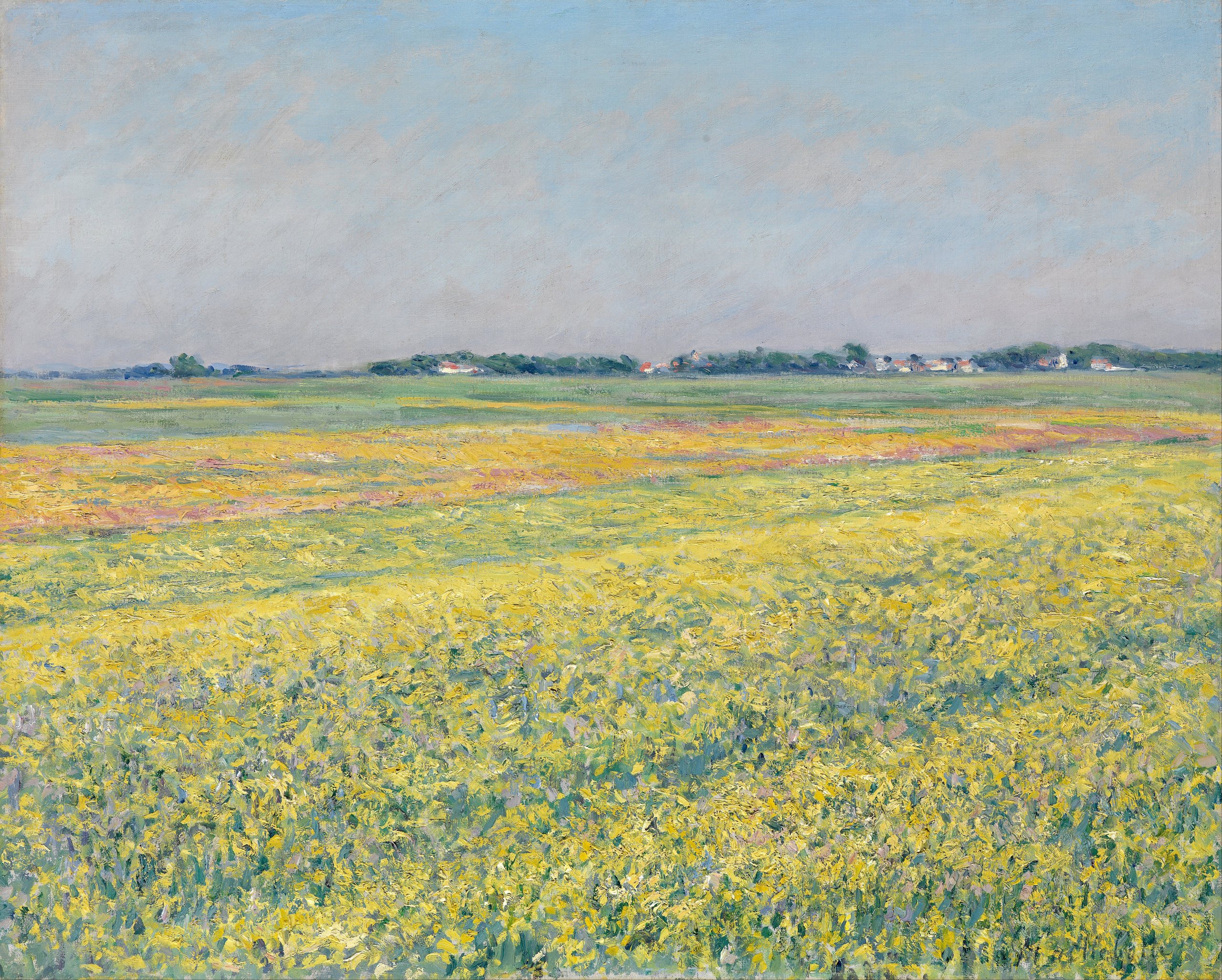 《热讷维利耶平原：黄色田野》（The plain of Gennevilliers, yellow fields）｜古斯塔夫·卡耶博特 Gustave Caillebotte｜不明