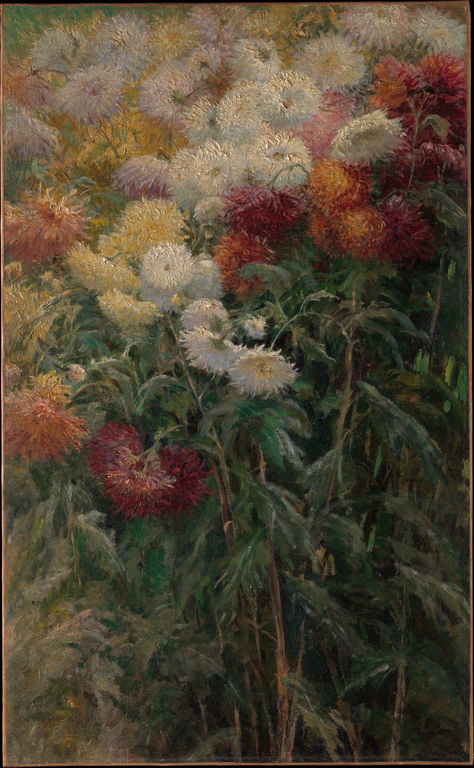 《小热讷维利耶花园里的菊花》（Chrysanthemums in the Garden at Petit-Gennevilliers）｜古斯塔夫·卡耶博特 Gustave Caillebotte｜1893
