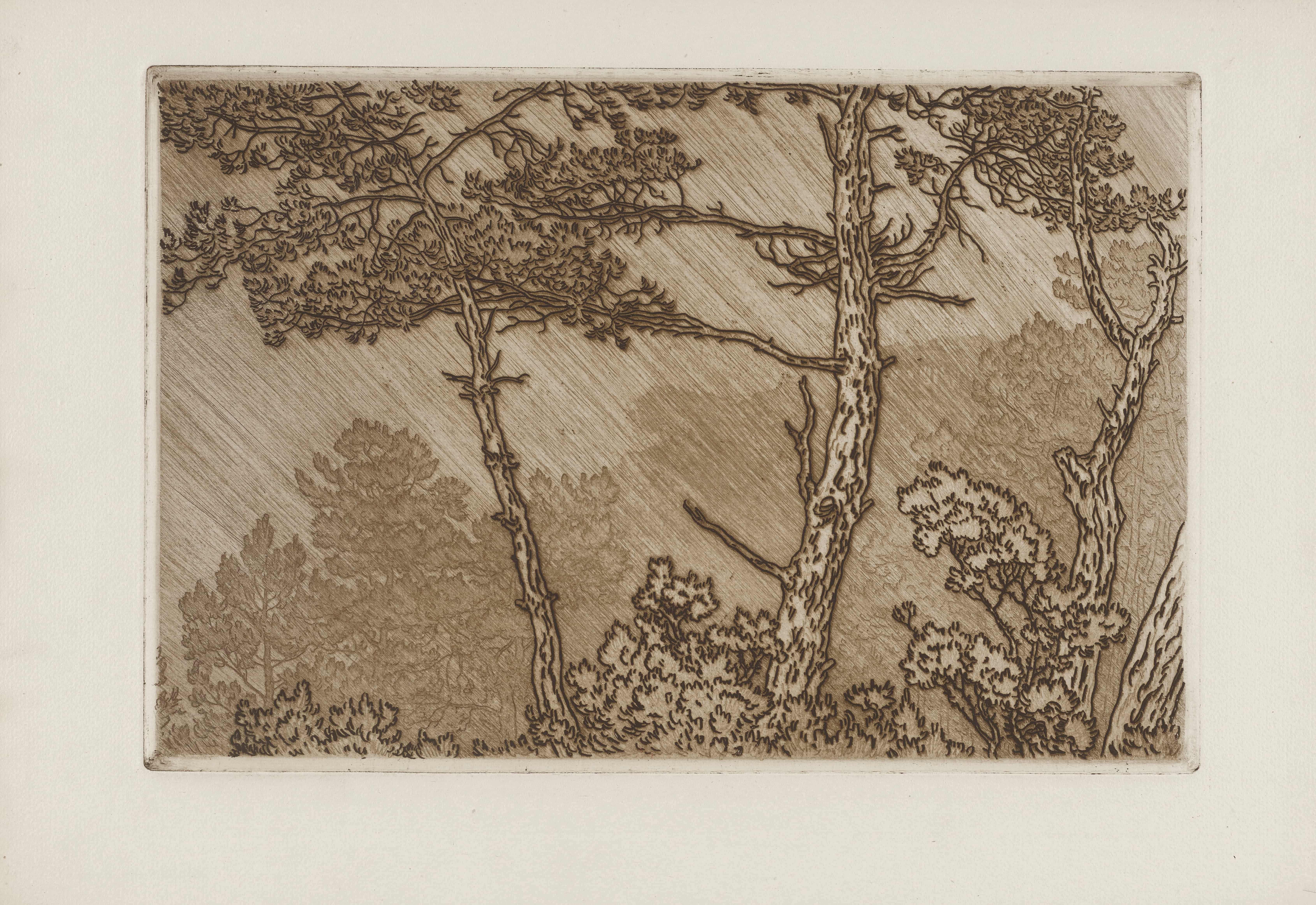 《倾盆大雨中的树木》（Trees in the downpour）｜亨利·里维埃 Henri Rivière｜1907