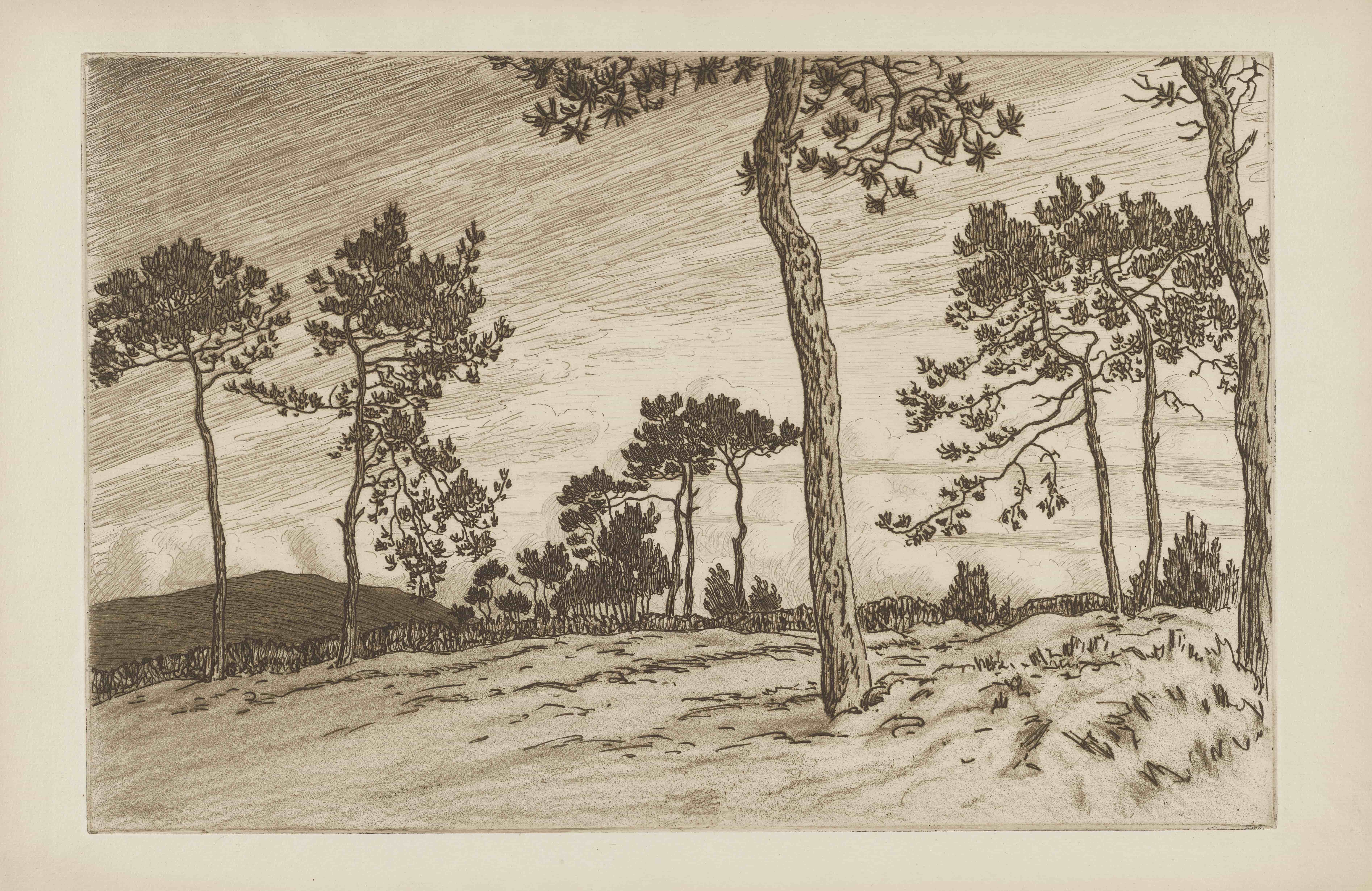 《研究梅内斯霍姆的松树和周围环境》（Study of pine trees, surroundings of Menez-Hom）｜亨利·里维埃 Henri Rivière｜1914