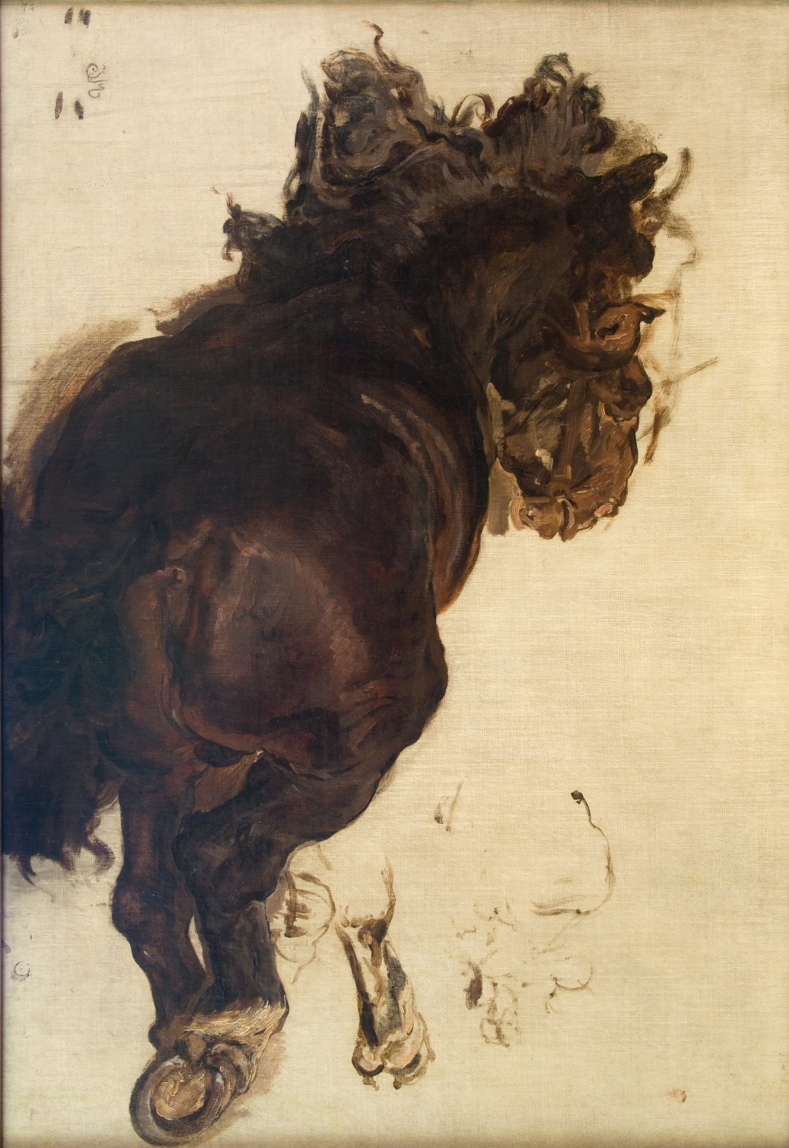 《对卧马的研究》（Study of a recIIning horse）｜扬·马泰伊科 Jan Matejko｜1875