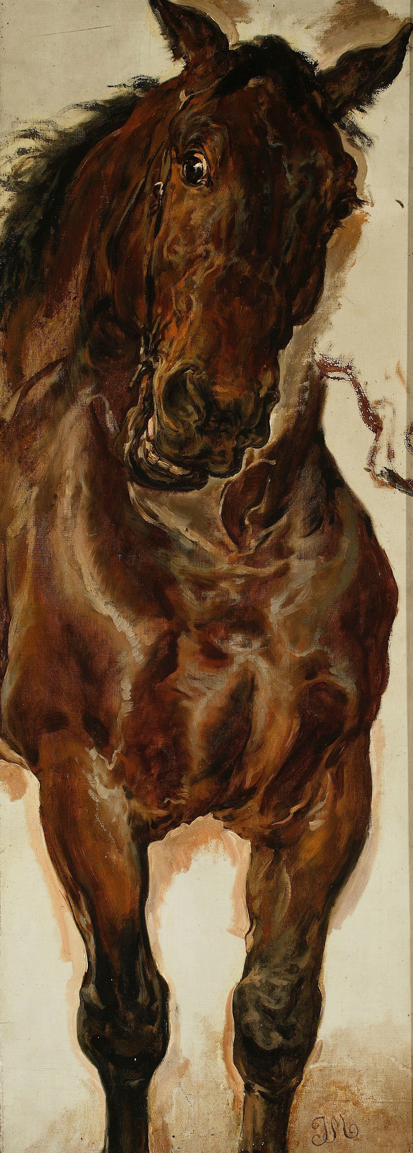 《研究“格伦瓦尔德之战”中的马头》（Study of a horse’s head for “Battle of Grunwald”）｜扬·马泰伊科 Jan Matejko｜1875