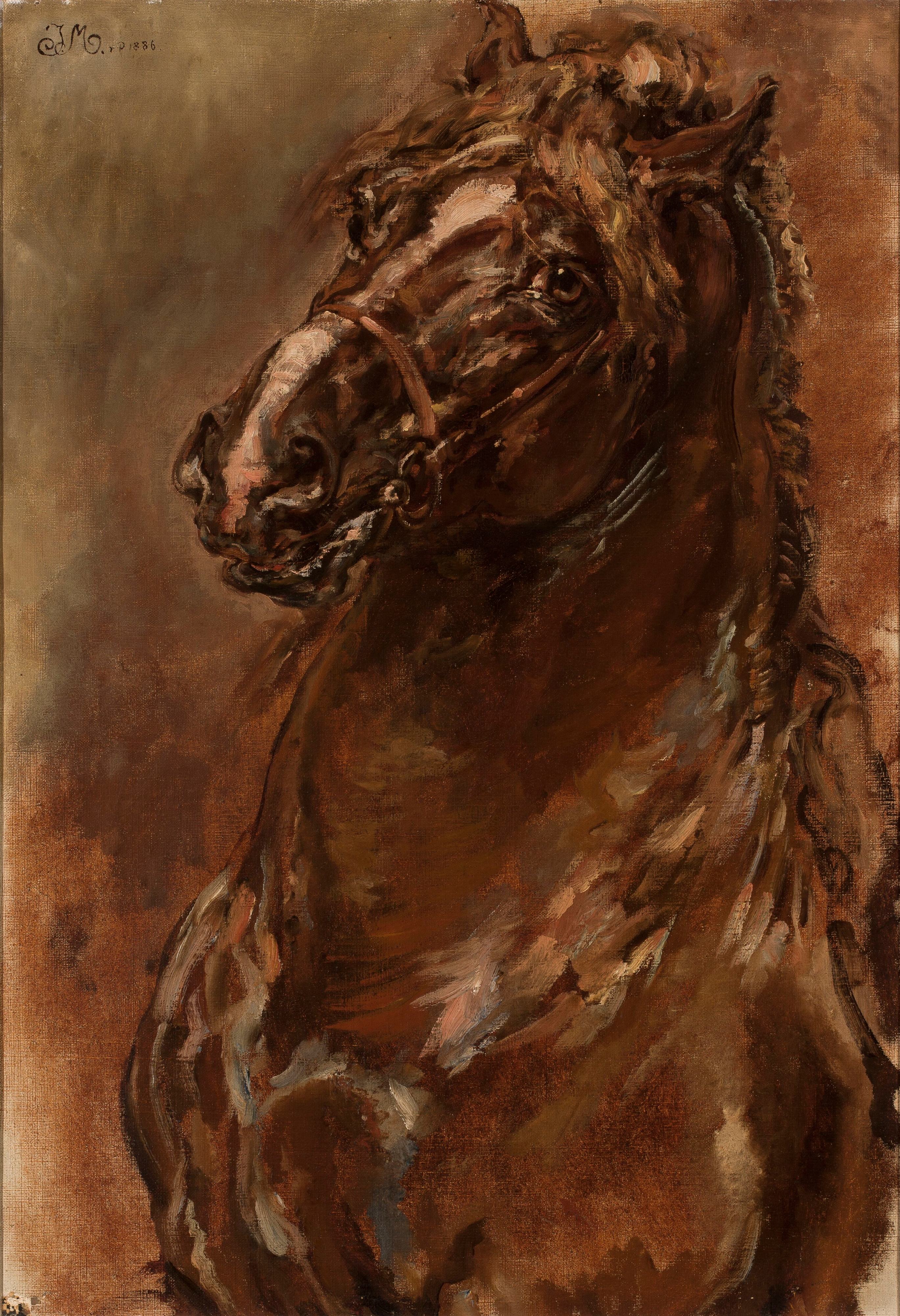 《奥尔良少女》中的马头研究》（Study of horse’s head for “The Maid of Orléans”）｜扬·马泰伊科 Jan Matejko｜1886