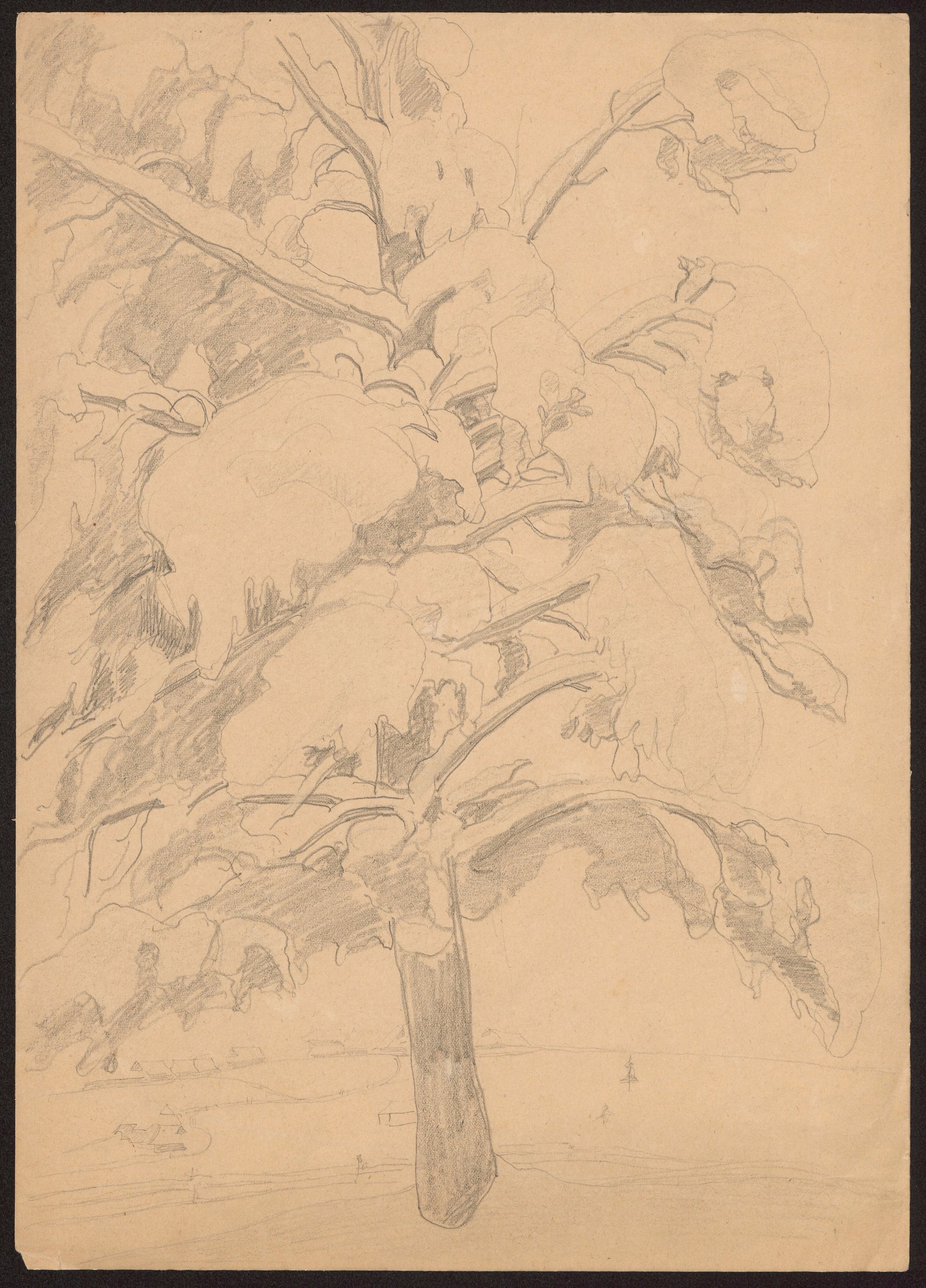《雪树》（Snowy tree）｜扬·伦博夫斯基 Jan Rembowski｜不明