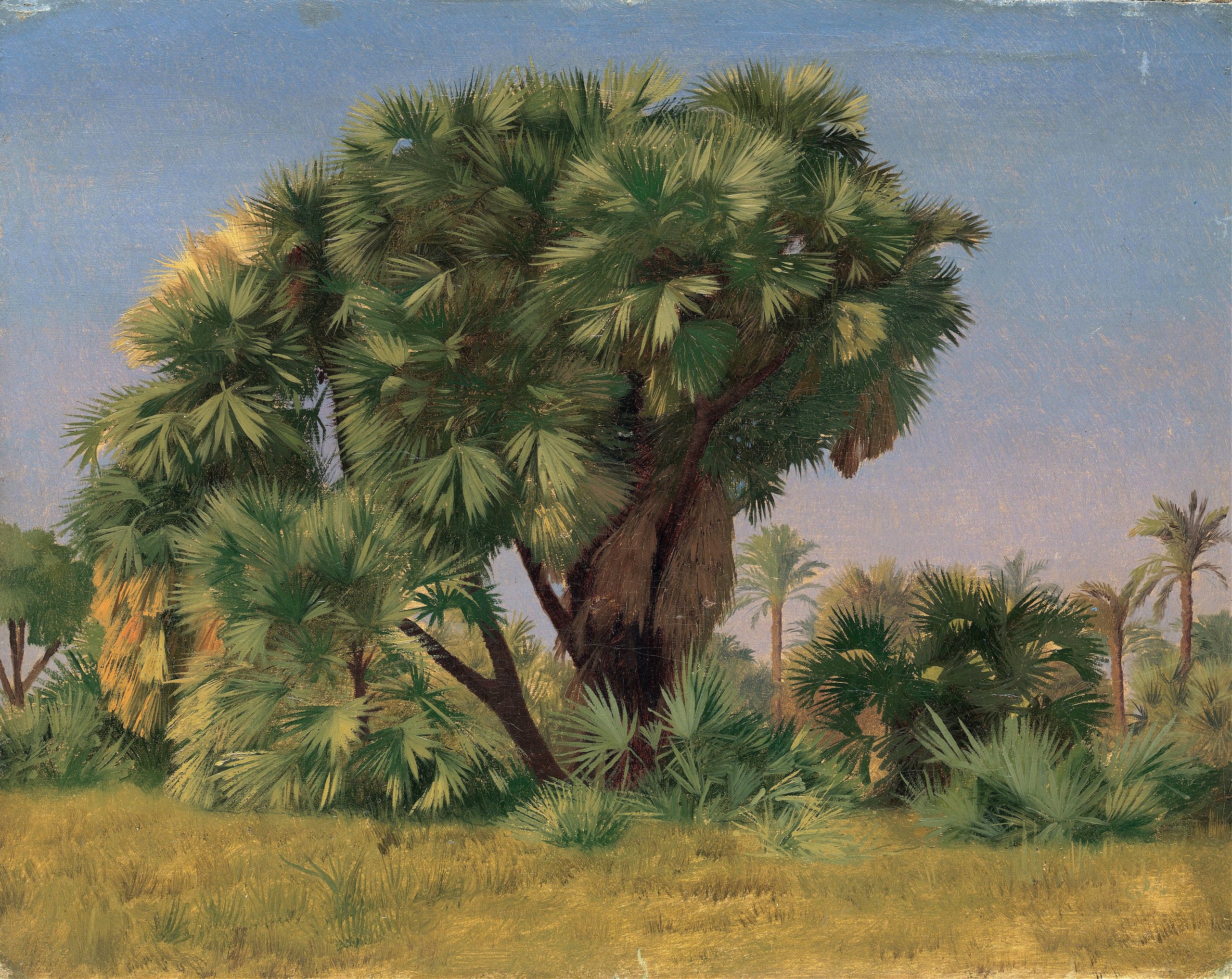 《棕榈树研究》（Study of Palm Trees）｜让-莱昂·热罗姆 Jean-Léon Gérôme｜1868