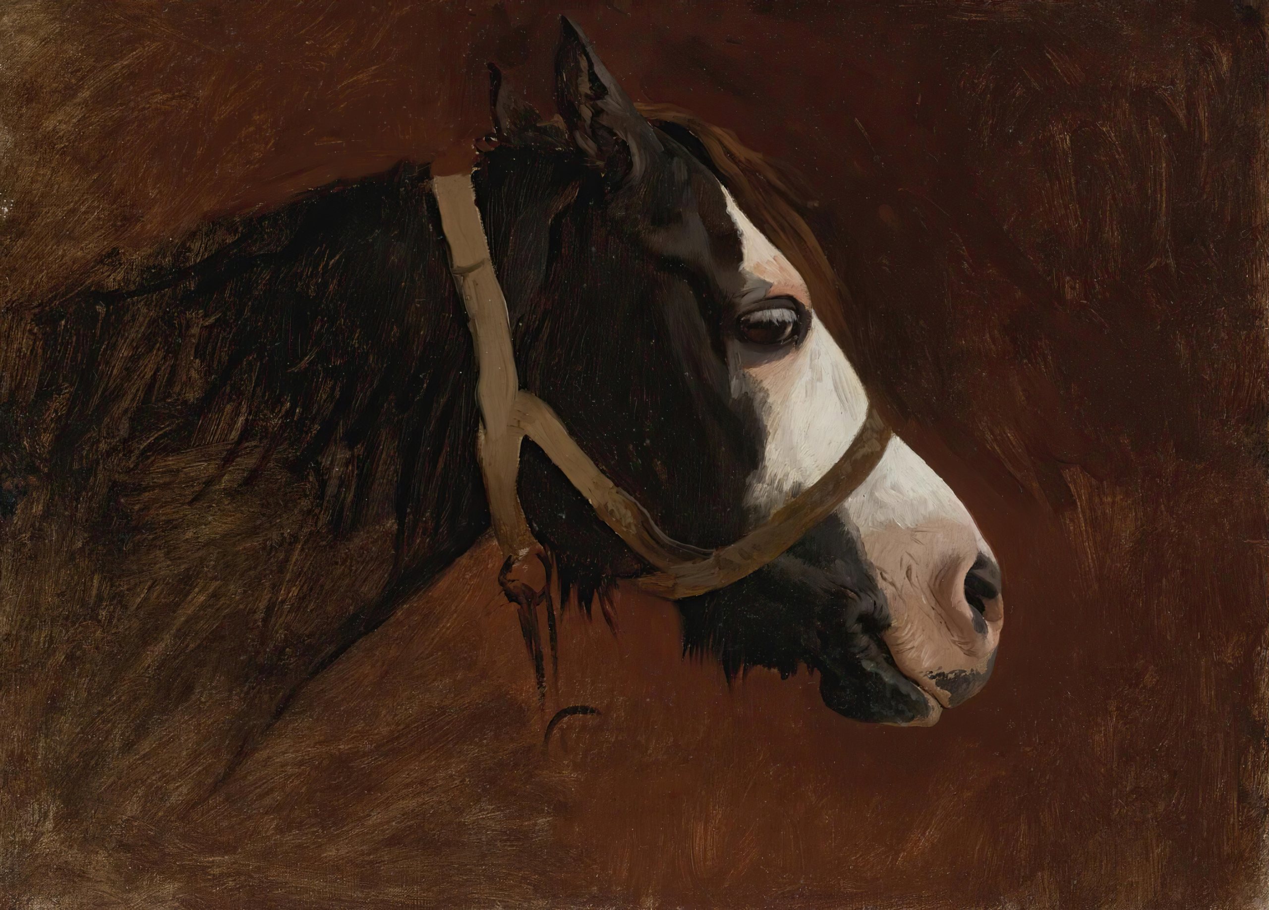 《马的轮廓》（Profile Of A Horse）｜让-莱昂·热罗姆 Jean-Léon Gérôme｜不明