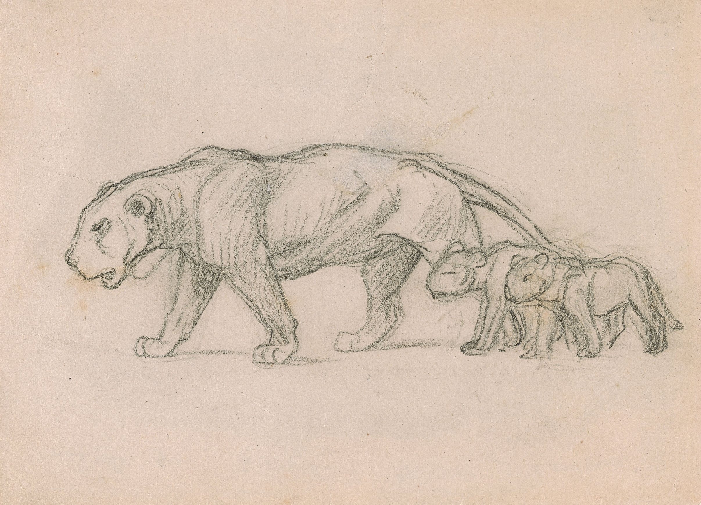 《母狮和她的幼崽》（Lioness and her Cubs）｜让-莱昂·热罗姆 Jean-Léon Gérôme｜1899