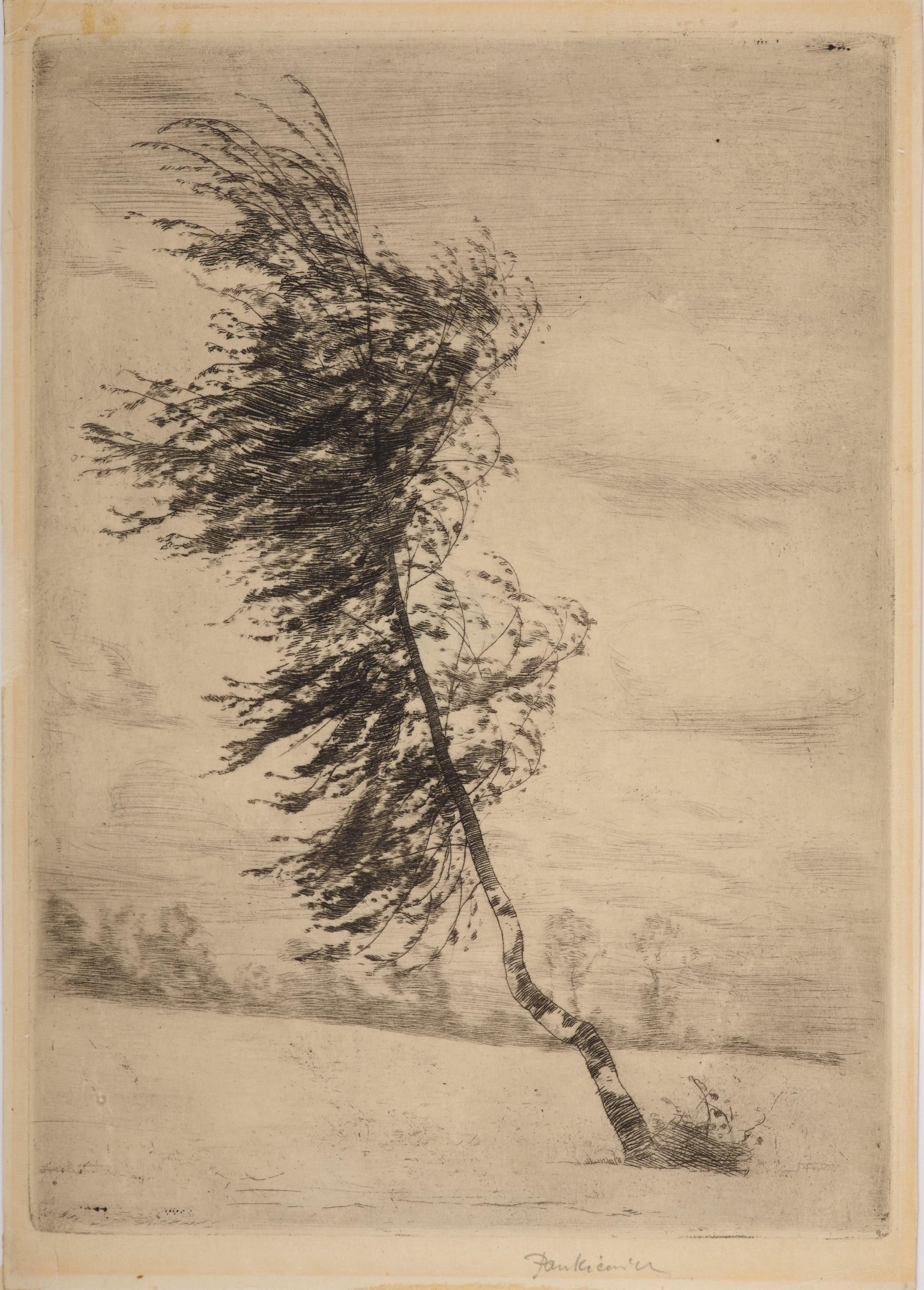 《风中的白桦》（Birch in the wind）｜约瑟夫·潘凯维奇 Józef Pankiewicz｜1901