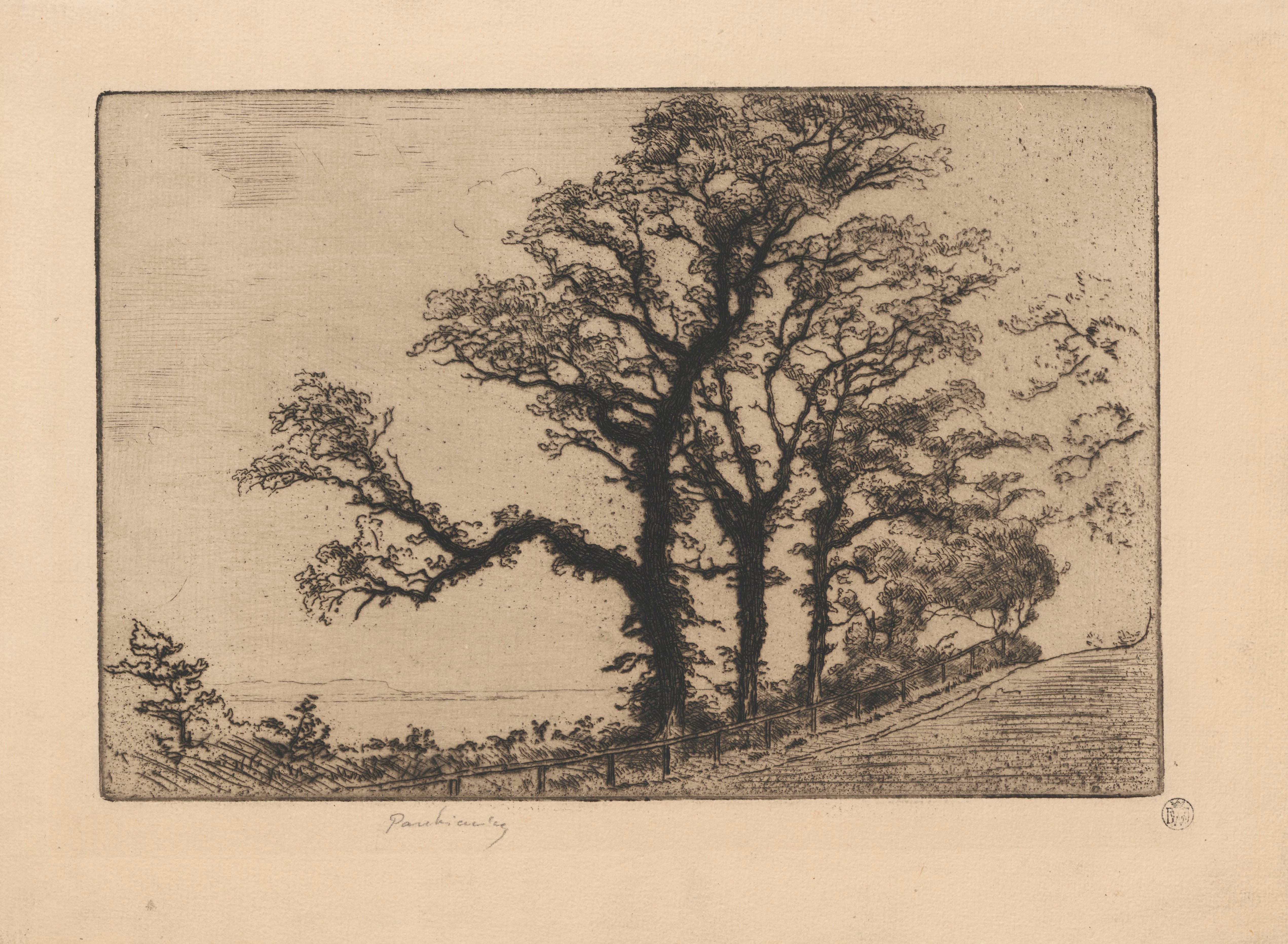《翁弗勒尔 – 格雷斯丘 (Côte de Grace)，I 州》（Honfleur – The Côte de Grace, State I）｜约瑟夫·潘凯维奇 Józef Pankiewicz｜1906