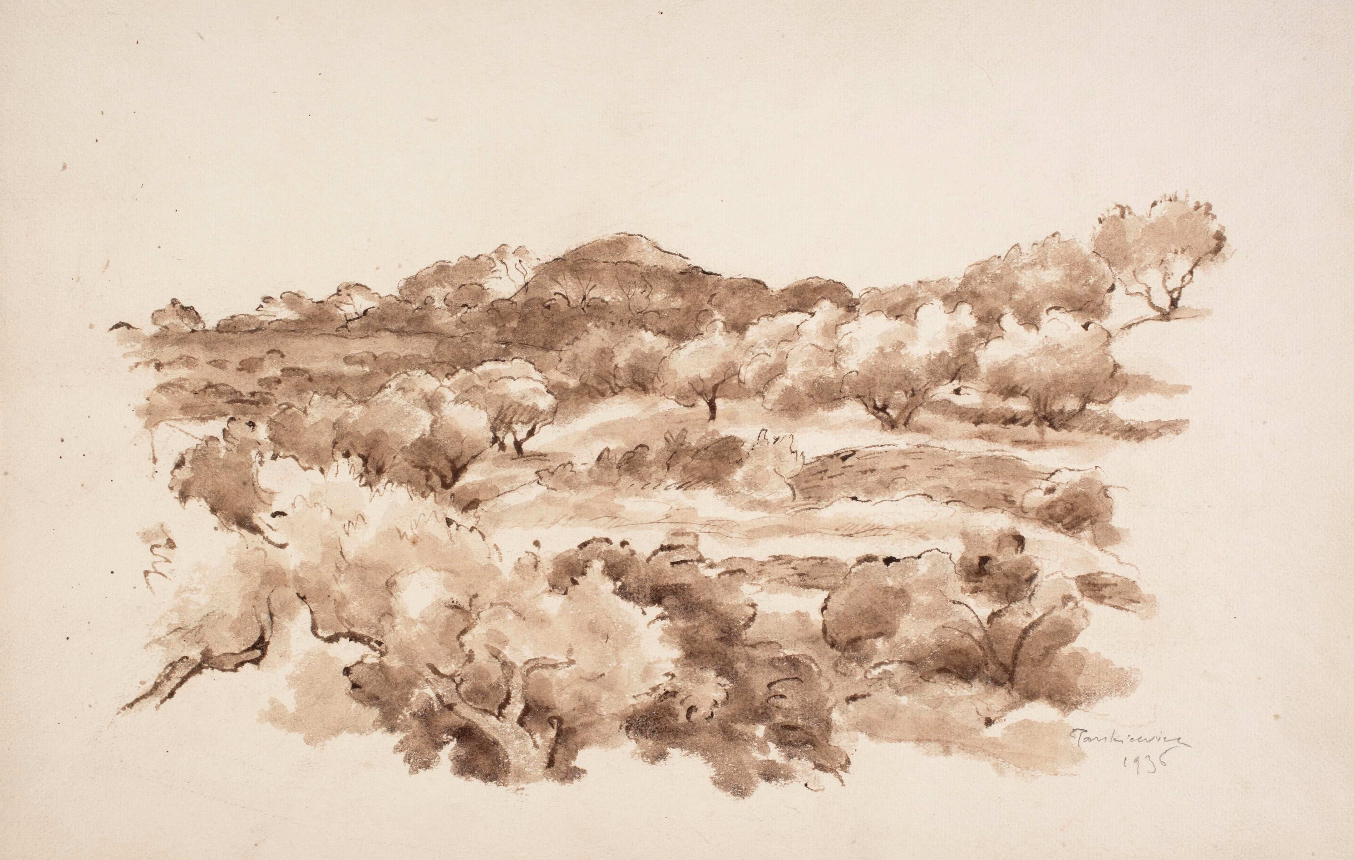 《拉西奥塔的橄榄园》（Olive groves in La Ciotat）｜约瑟夫·潘凯维奇 Józef Pankiewicz｜1936