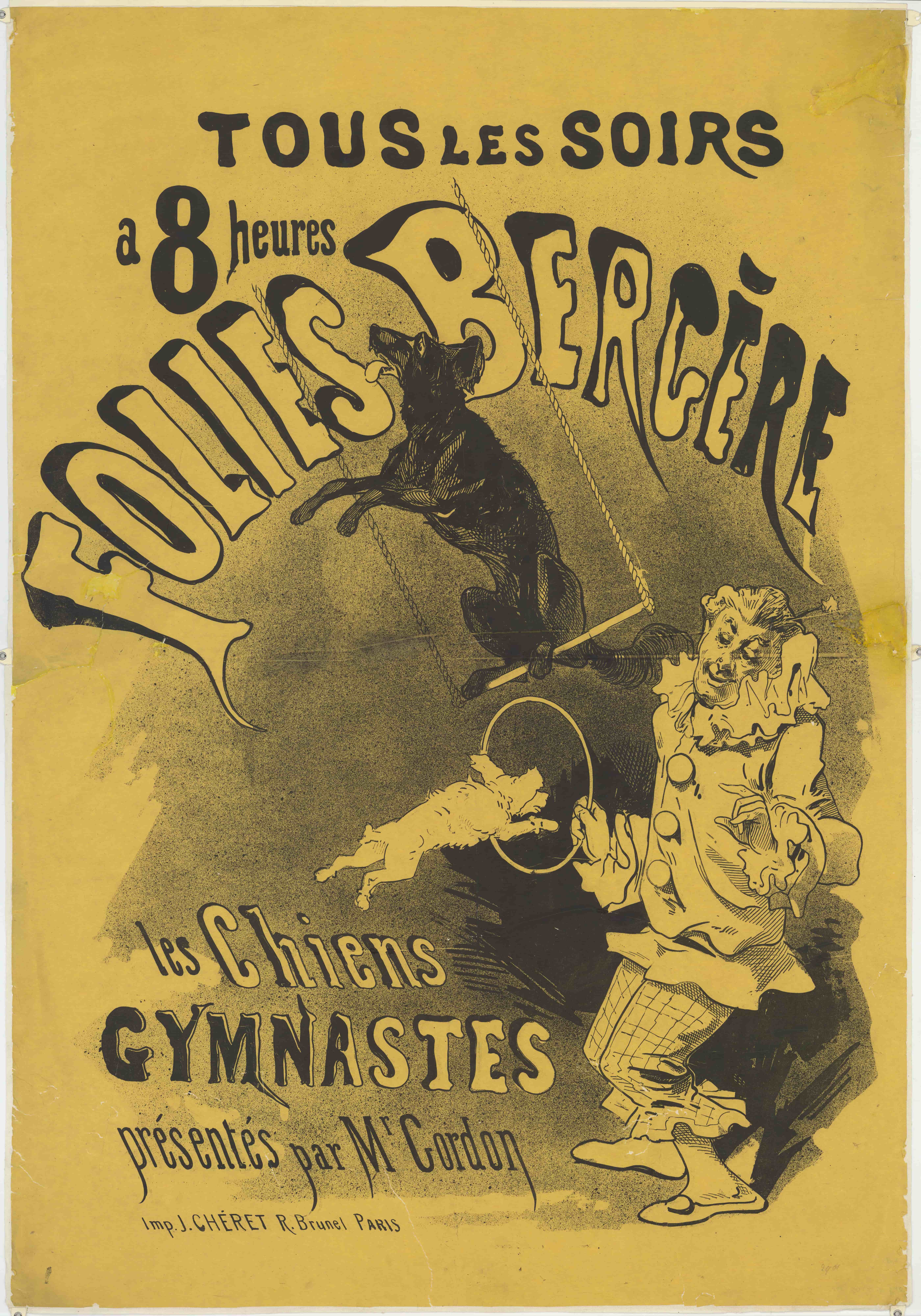 Folies-Bergère。戈登先生赠送的体操犬