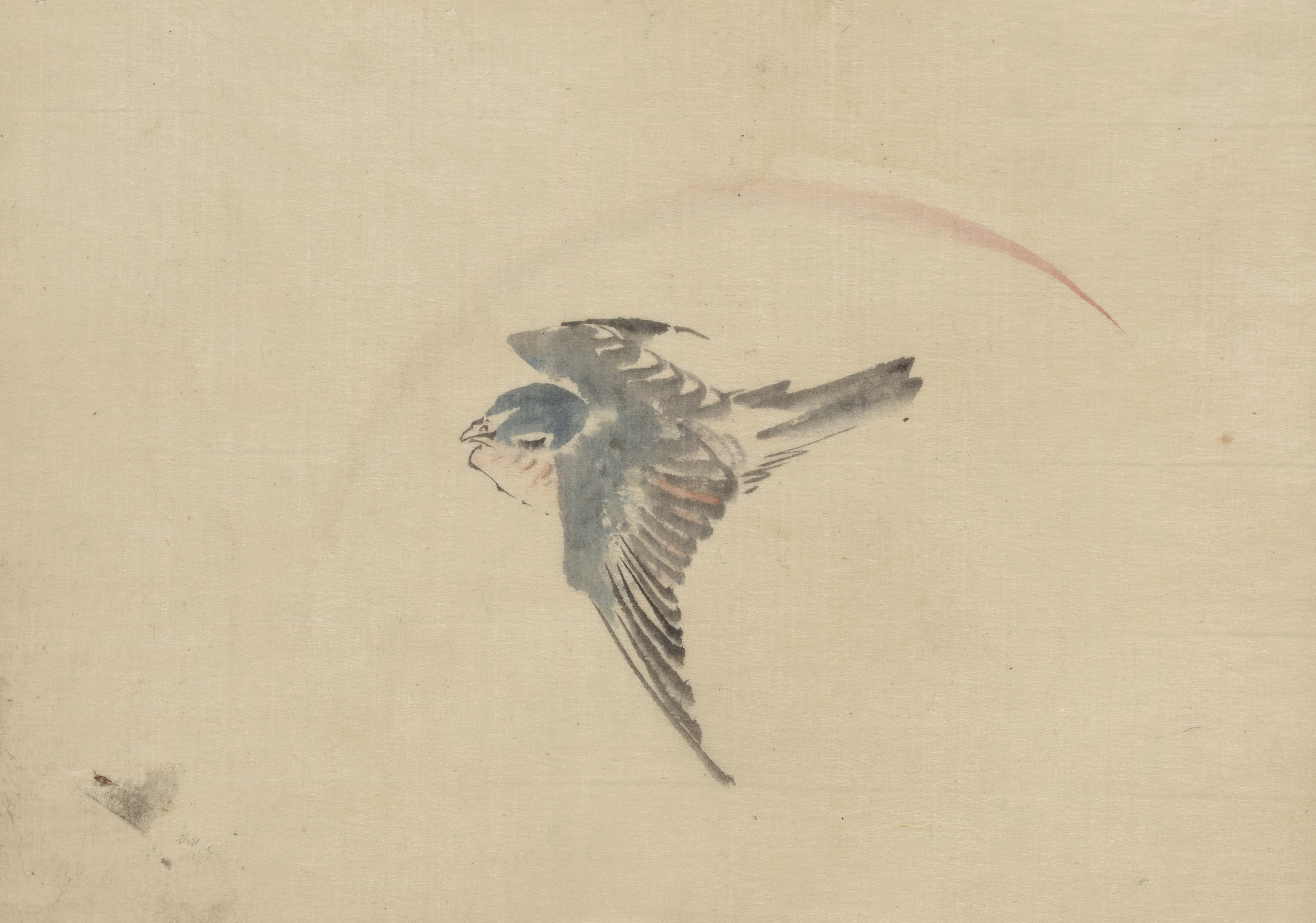 《从上方看，一只鸟向左飞》（A bird flying to the left, seen from above）｜葛饰北斋 Katsushika Hokusai｜1830-1850