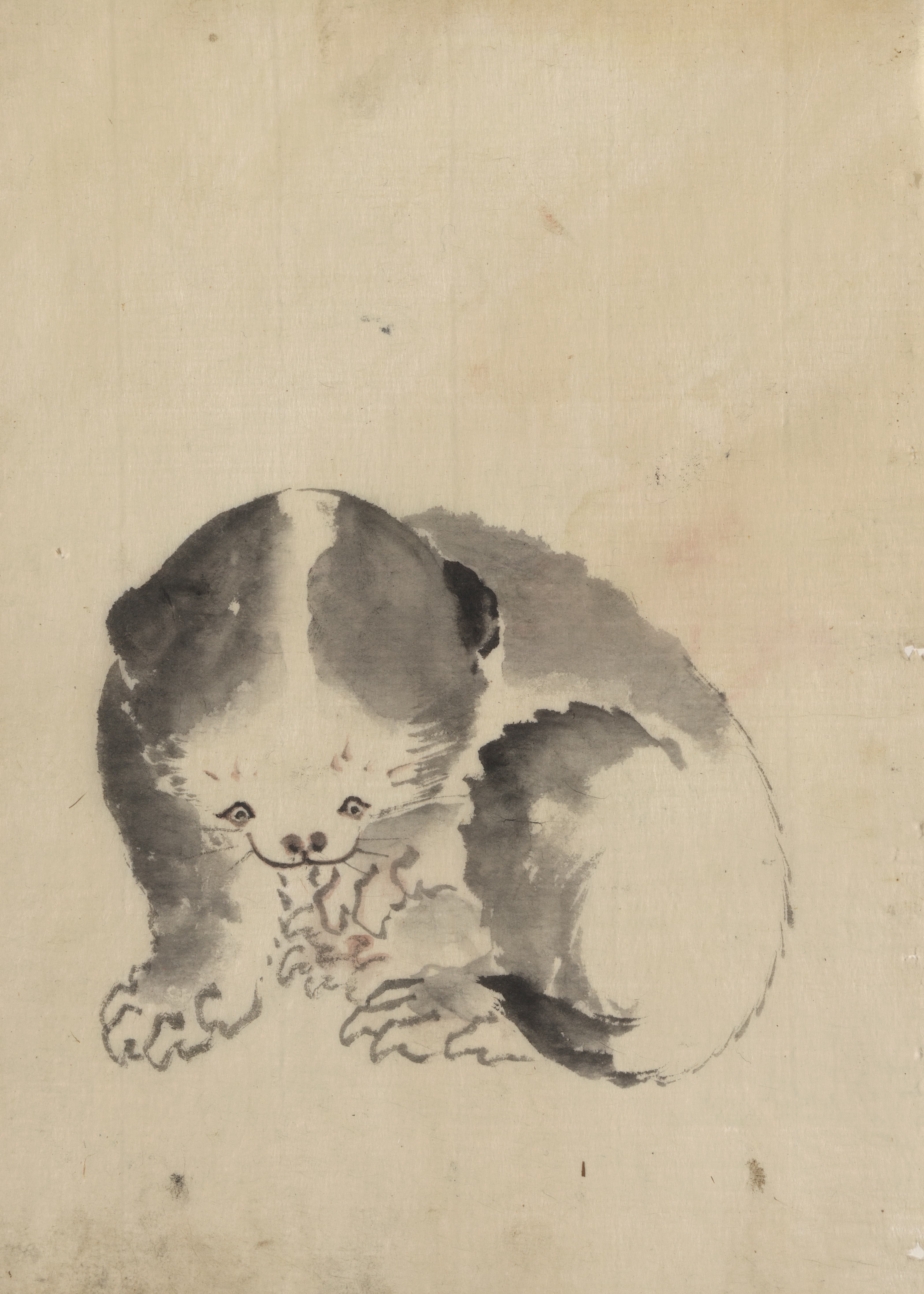《一只猫正在清理它的爪子》（A cat cleaning its claws）｜葛饰北斋 Katsushika Hokusai｜1830-1850